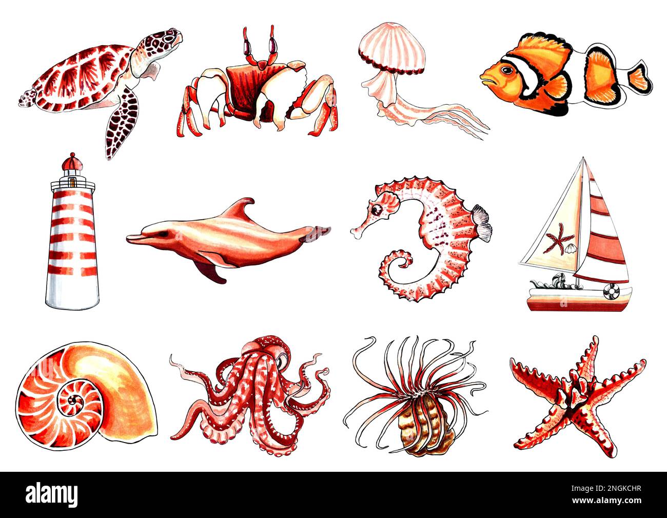 Marineblaue Farbe in Braun-Orange mit Unterwasserwelt. JPEG-Darstellung von Meerestieren. Stockfoto