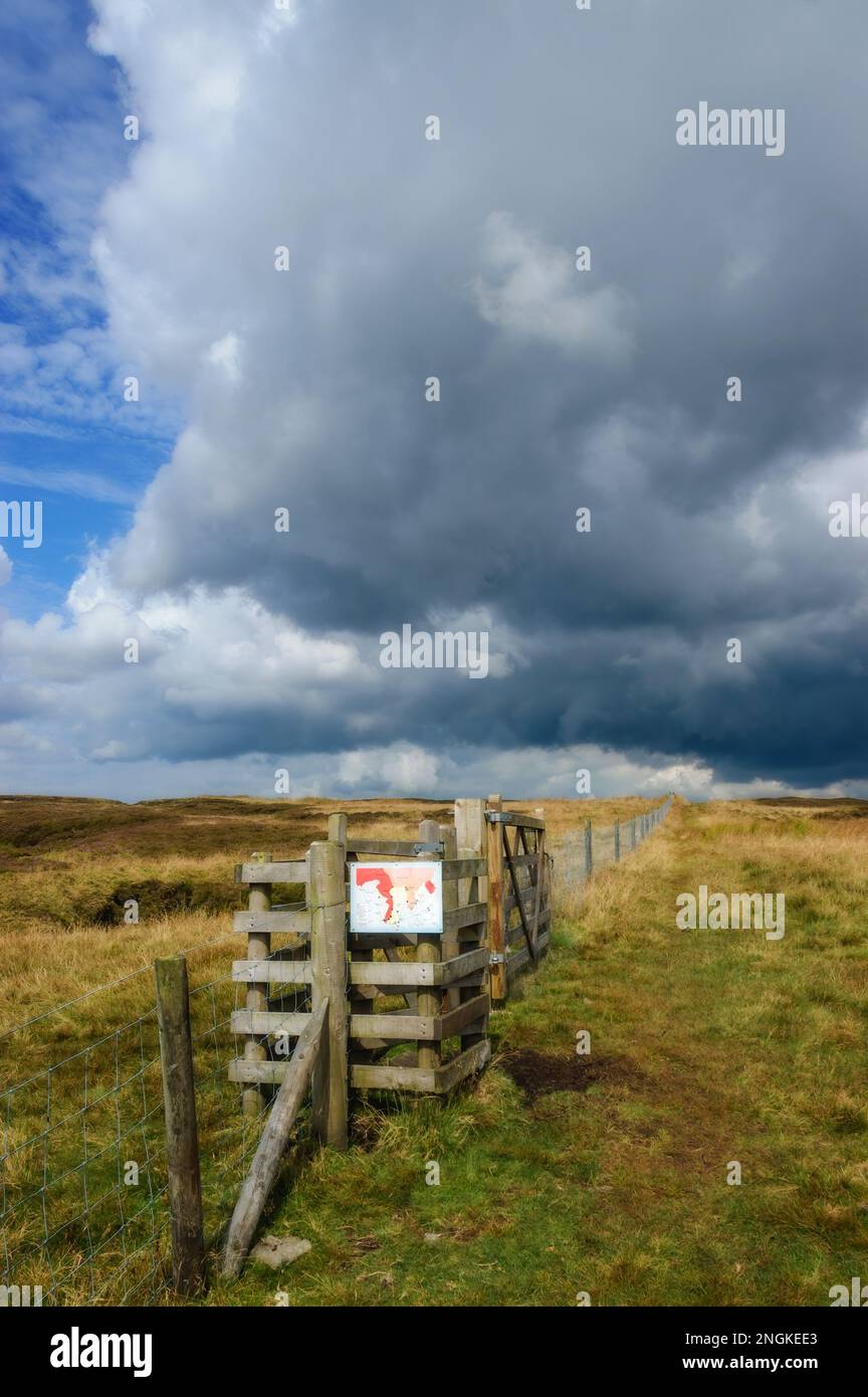 Zugang zum Wolf Fell on Saddle Fell Above Chipping im Wald von Bowland, lancashire Stockfoto