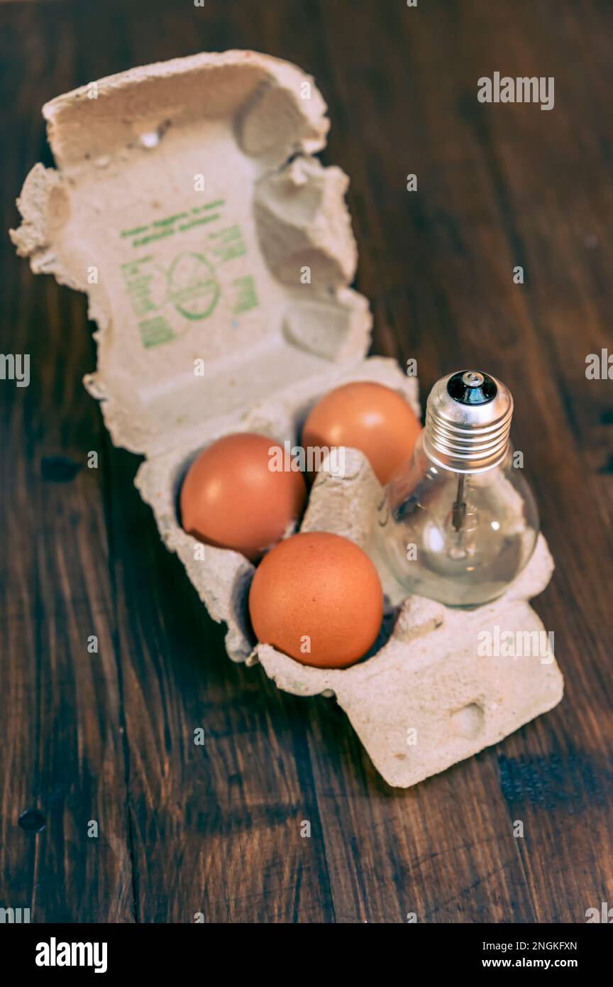 Ein Eierbehälter aus Pappe enthält drei Eier und eine invertierte Wolfram-Glühbirne Stockfoto