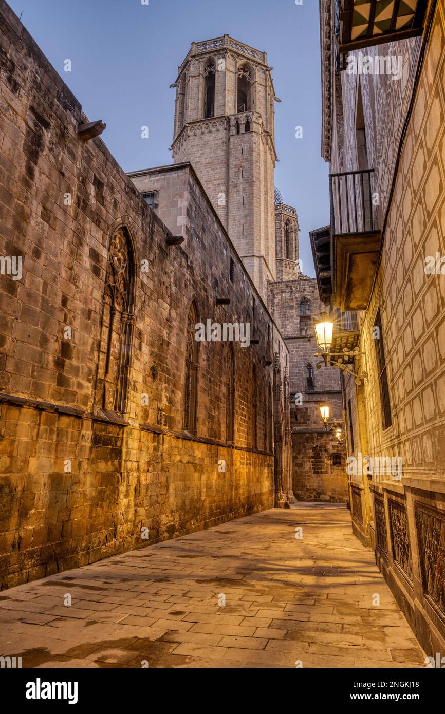 Das historische Barrio Gotico in Barcelona in der Abenddämmerung mit der Kathedrale Stockfoto