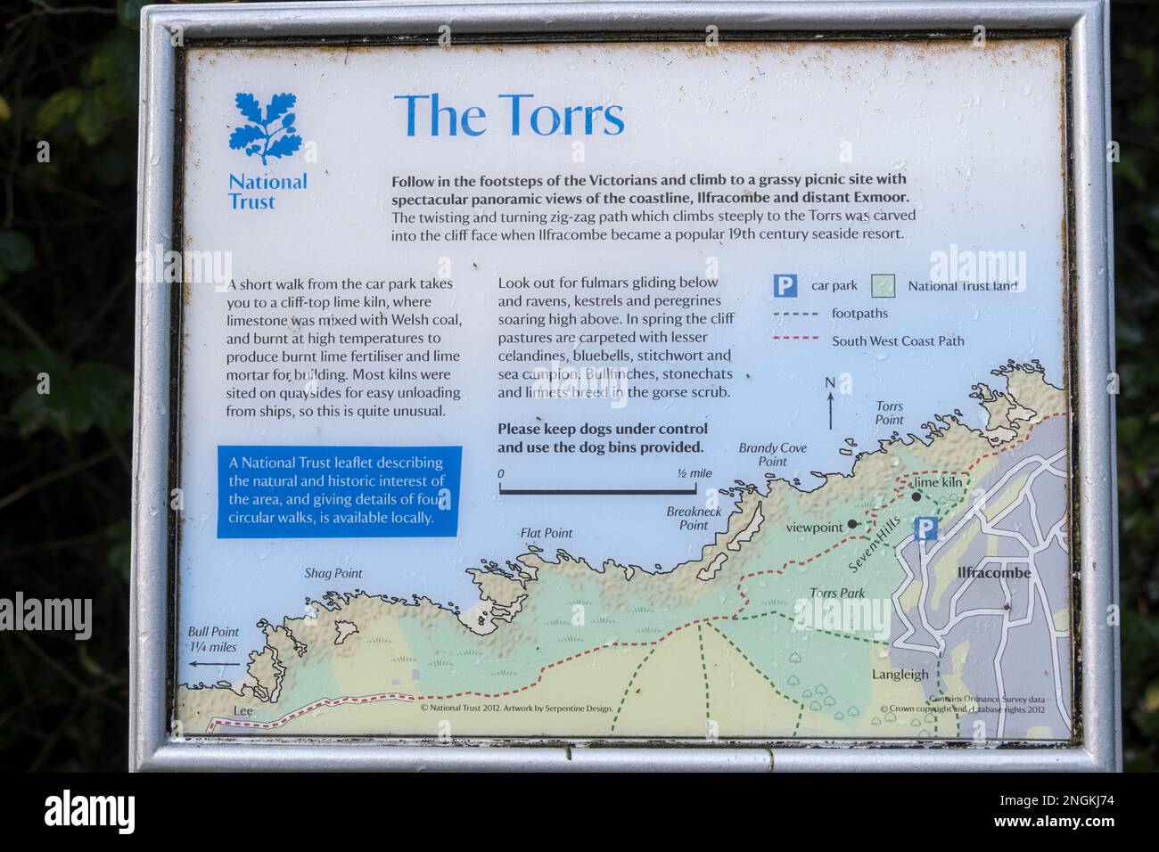 Informationstafel Torrs Walk für den Küstenweg entlang der Küste von Nord-Devon zwischen Ilfracombe und Lee, Devon, Großbritannien. Stockfoto