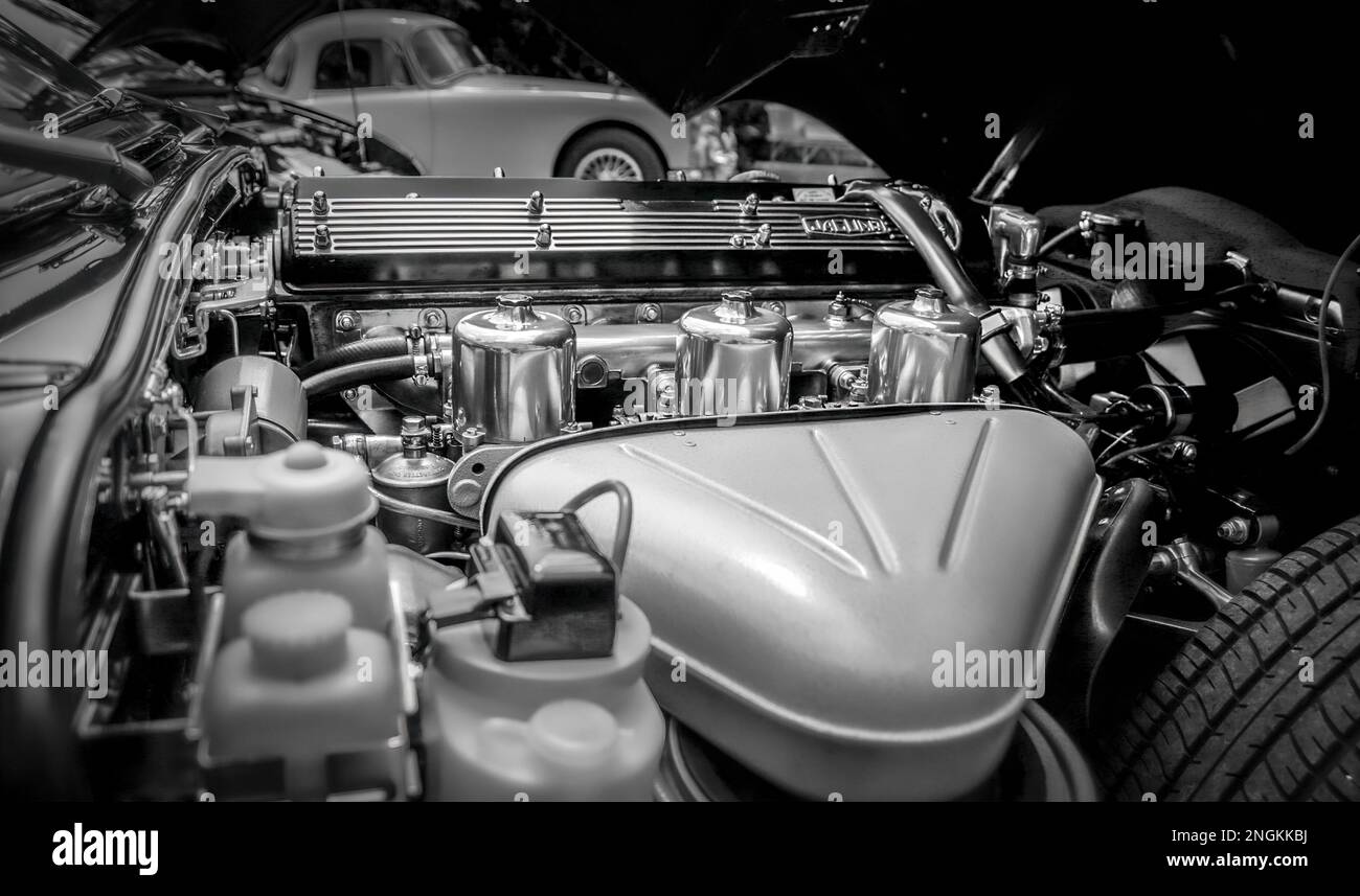 Nahaufnahme eines 6-Zylinder-Motorraums des Jaguar E Type in Schwarz-Weiß Stockfoto