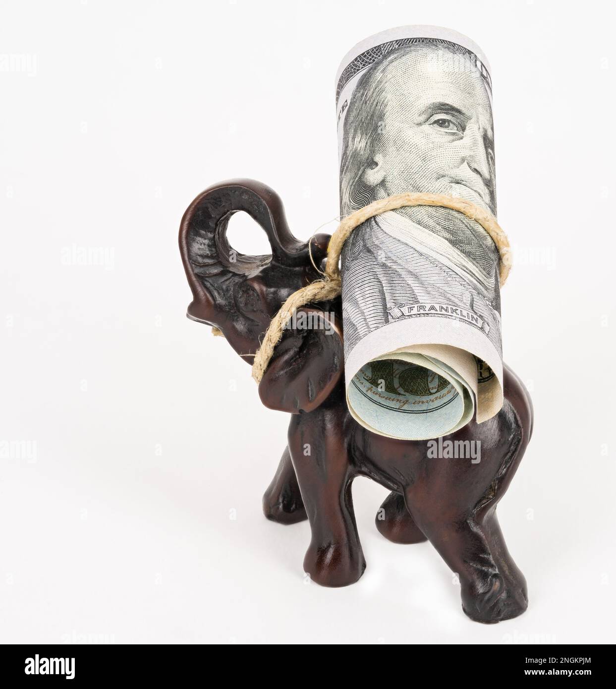 Elefantenwanderung mit 100-Dollar-Note. Еlephant mit Scheinen auf weißem Hintergrund. Stockfoto