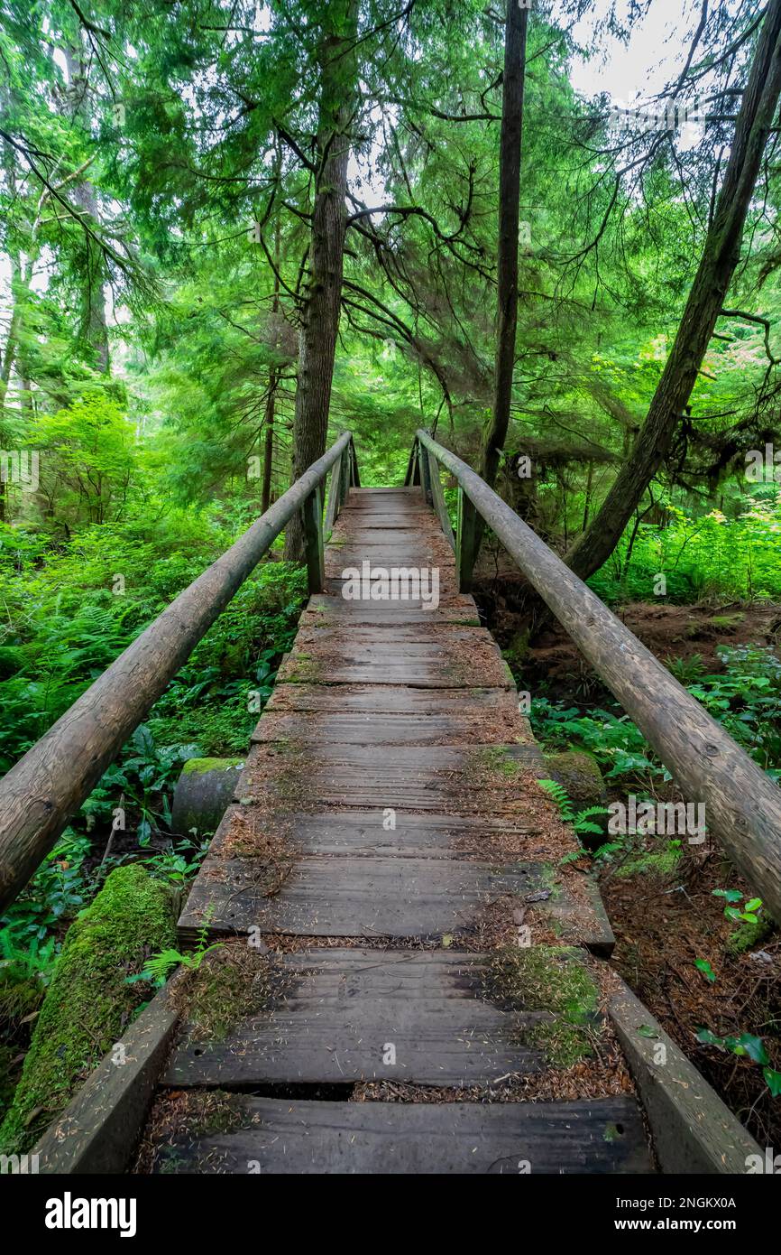 Der Weg zum Shi Beach im Olympic-Nationalpark führt durch die Makah Tribal Lands im Bundesstaat Washington, USA Stockfoto