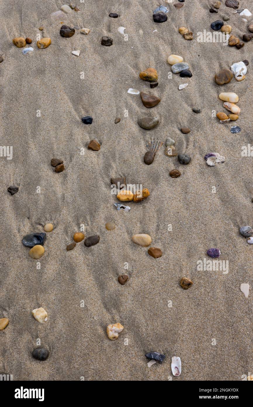 Muster von Steinen, Muscheln und die sich zurückziehende Brandung im Sand, Rehoboth Beach, Delaware Stockfoto