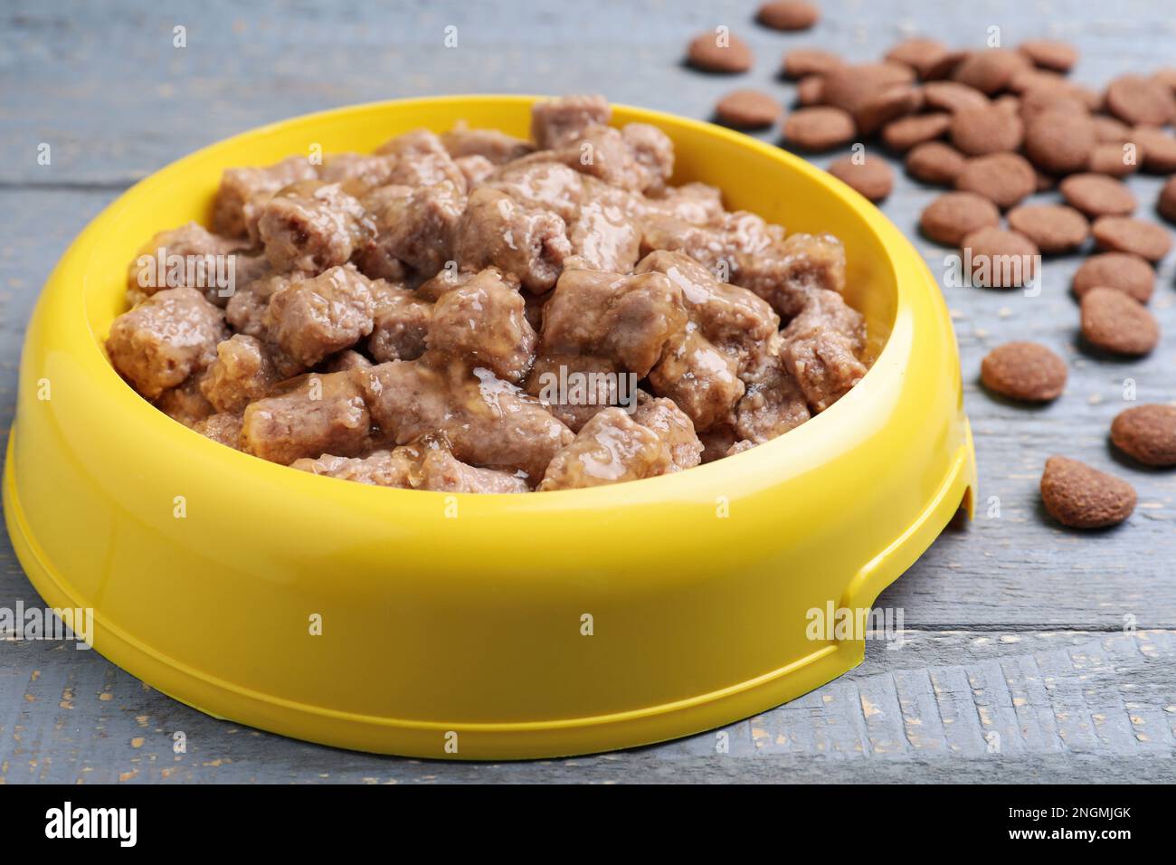 Nasses und trockenes Tierfutter auf blauem Holztisch, Nahaufnahme Stockfoto