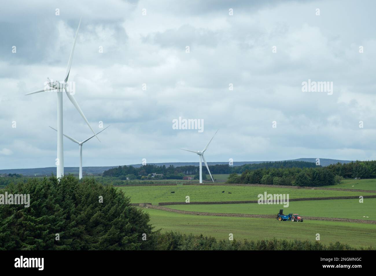 Windturbinen in einer Landschaftslandschaft Stockfoto