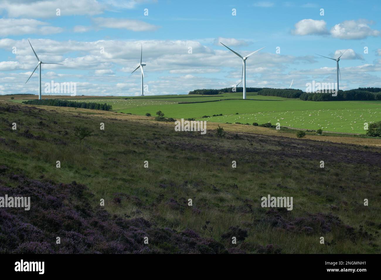 Sommerlandschaft mit Vorder- und Heidenland mit Ackerland und Windturbinen in der Nähe Stockfoto