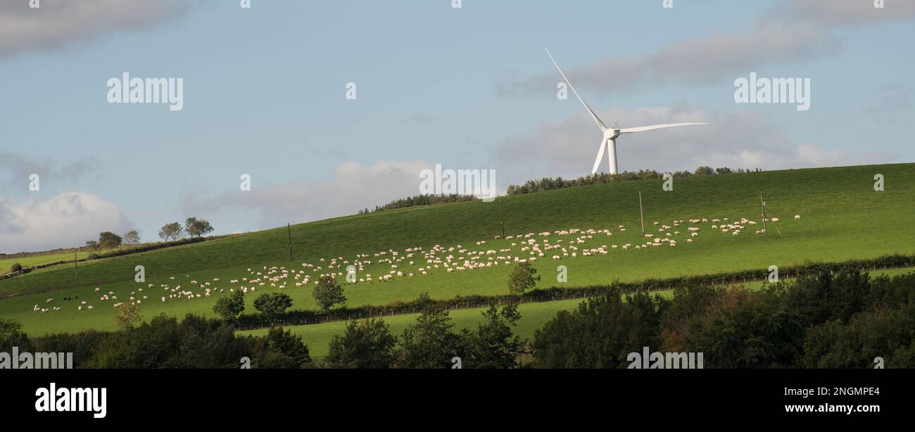 Landschaft mit offenem Ackerland mit Schafherden in mittlerer Entfernung, die das Sonnenlicht einfangen, und einer einzigen Windturbine über dem Stirn eines Hügels Stockfoto