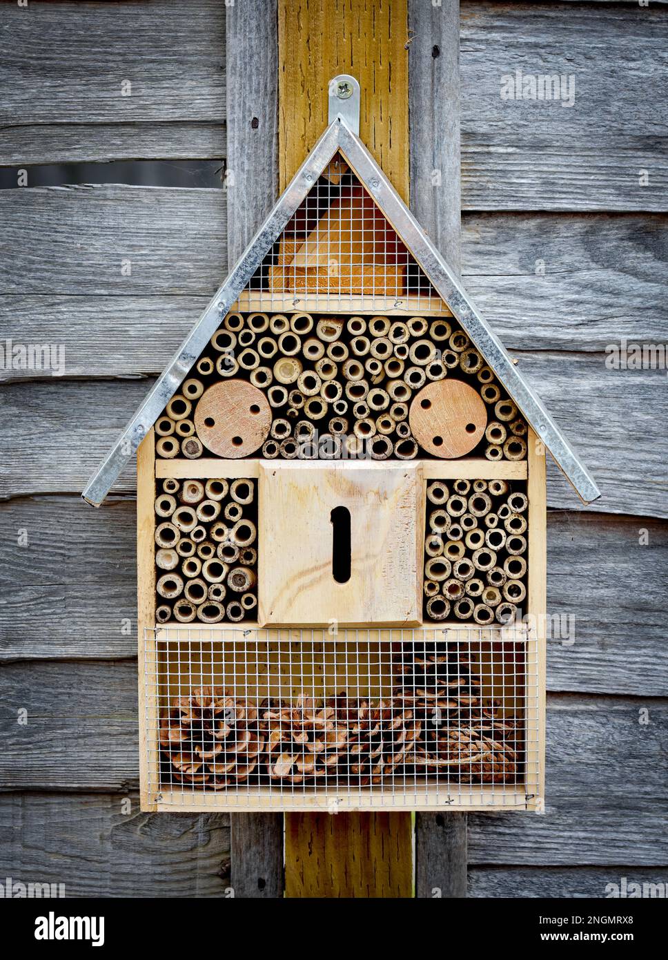 Insektenhaus, Insektenhaus oder Bienenhotel im Garten am Zaun an einem sonnigen Tag im Sommer Stockfoto