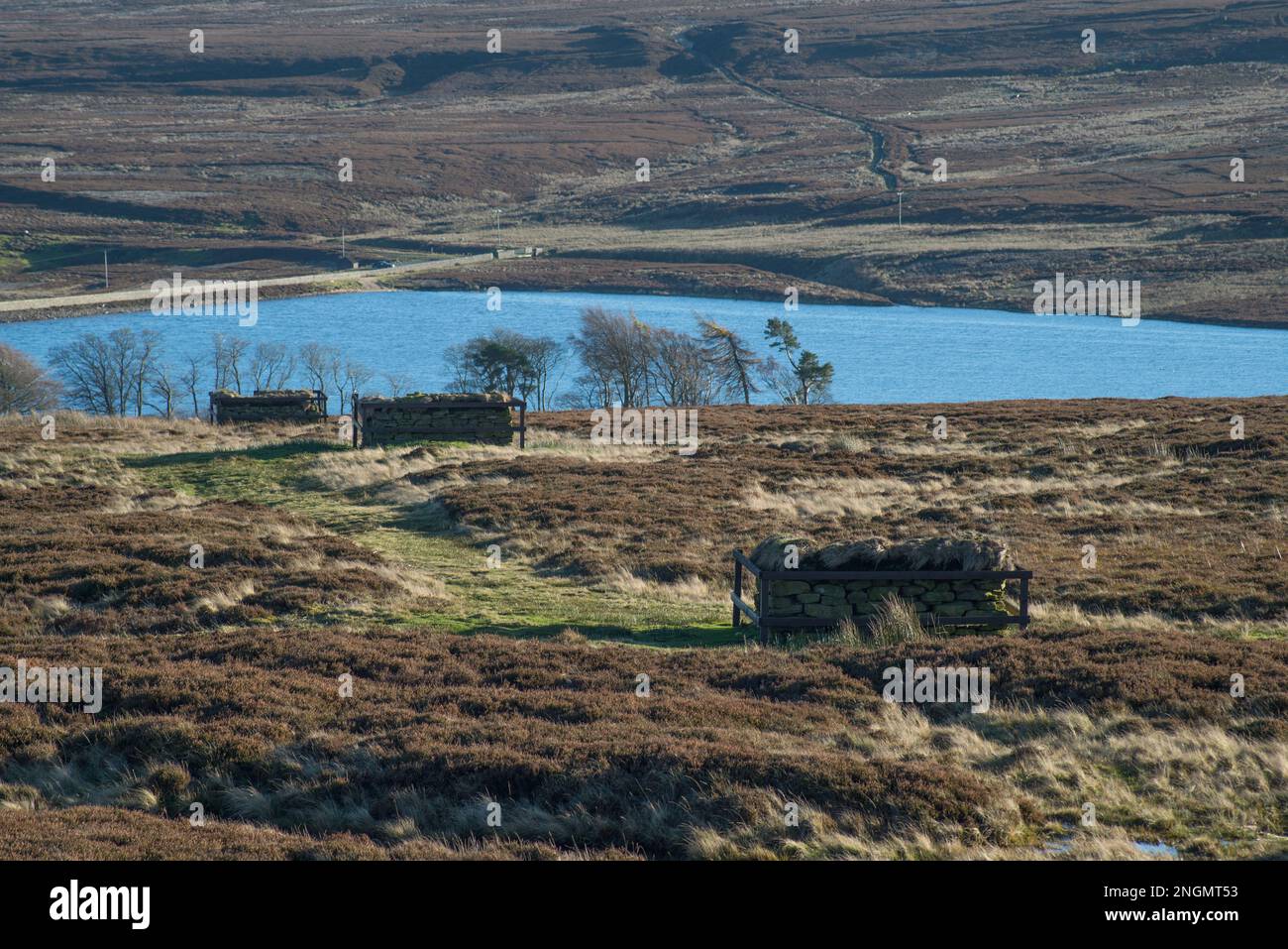 Moorland mit Schießgehäusen für Moorhuhn-Jagdsaison mit kleinem Reservoir dahinter Stockfoto