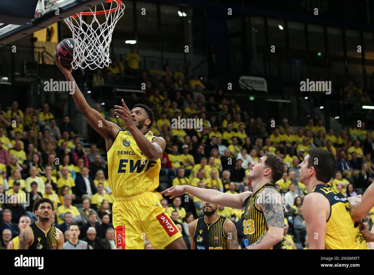 Mutterschaf oldenburg korb Fotos und Bildmaterial in hoher Auflösung