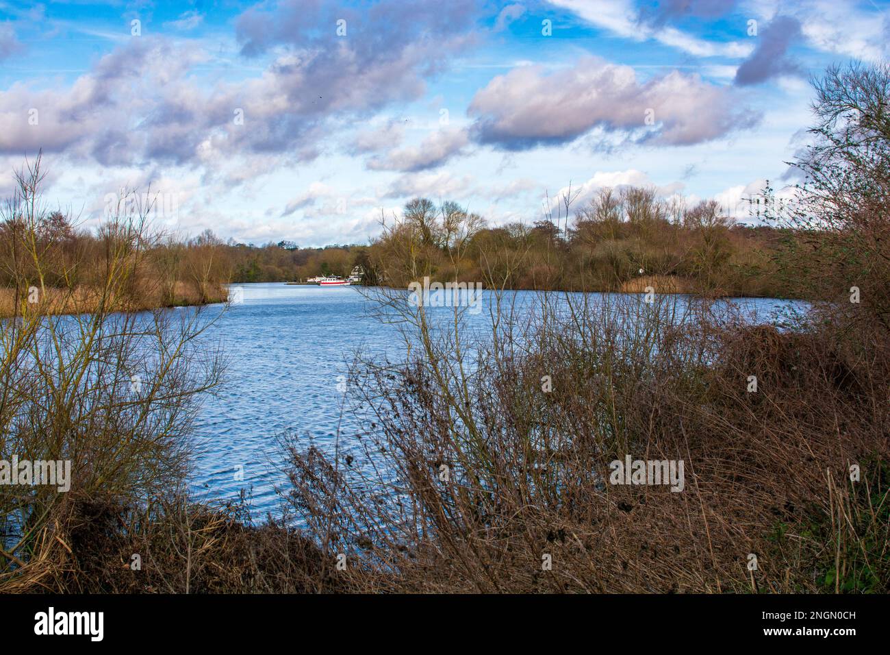 Surlingham, Fluss Yare Stockfoto