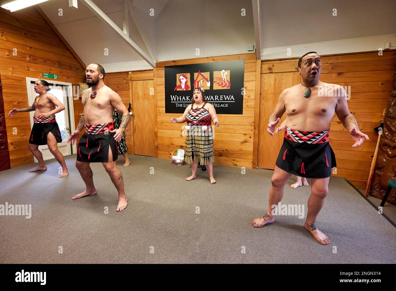 Whakarewarewa Maori Village. Haka traditionelle Aufführung Tanz Stockfoto