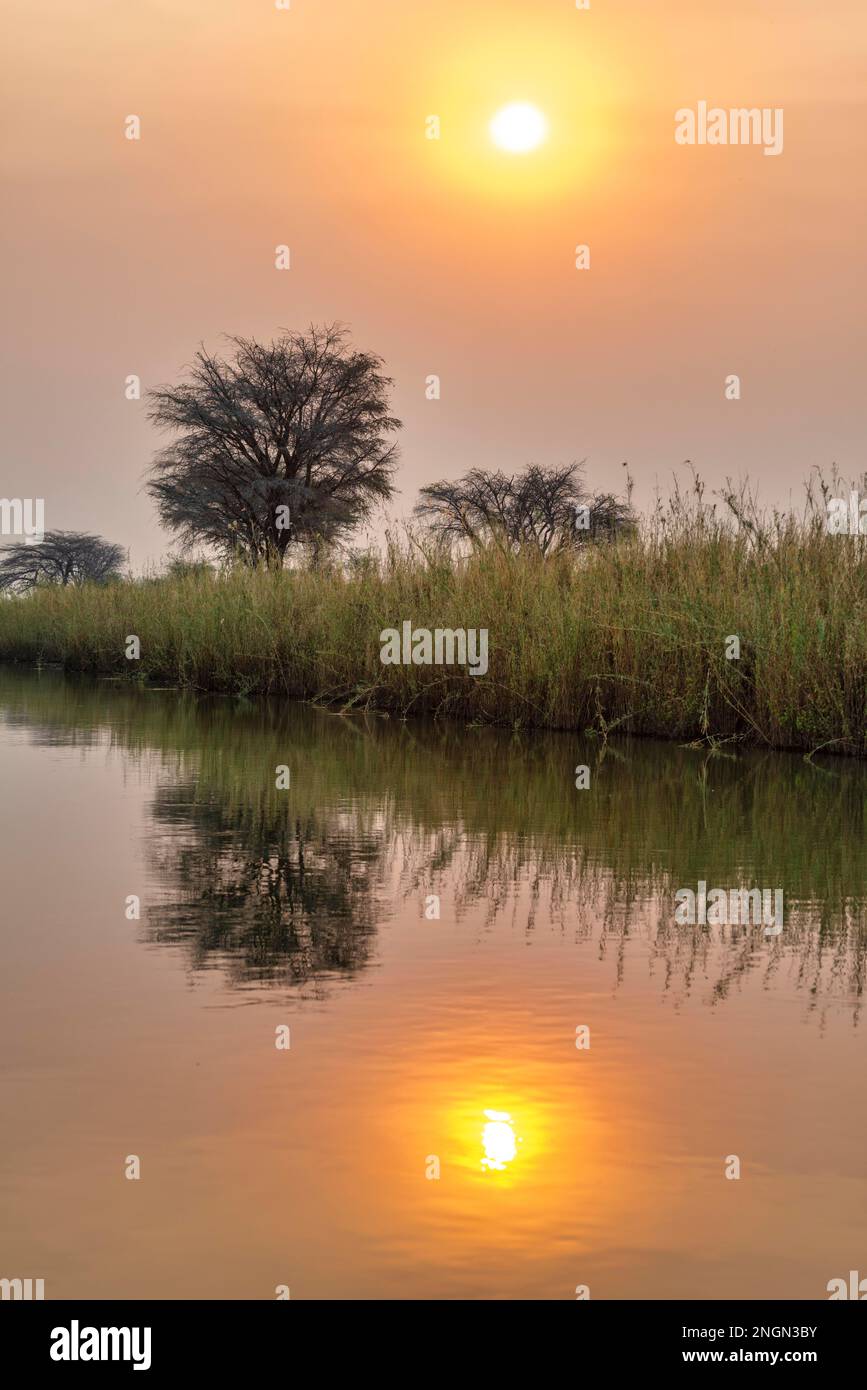 Namibia, Afrika. Okavango River bei Dämmerung Stockfoto