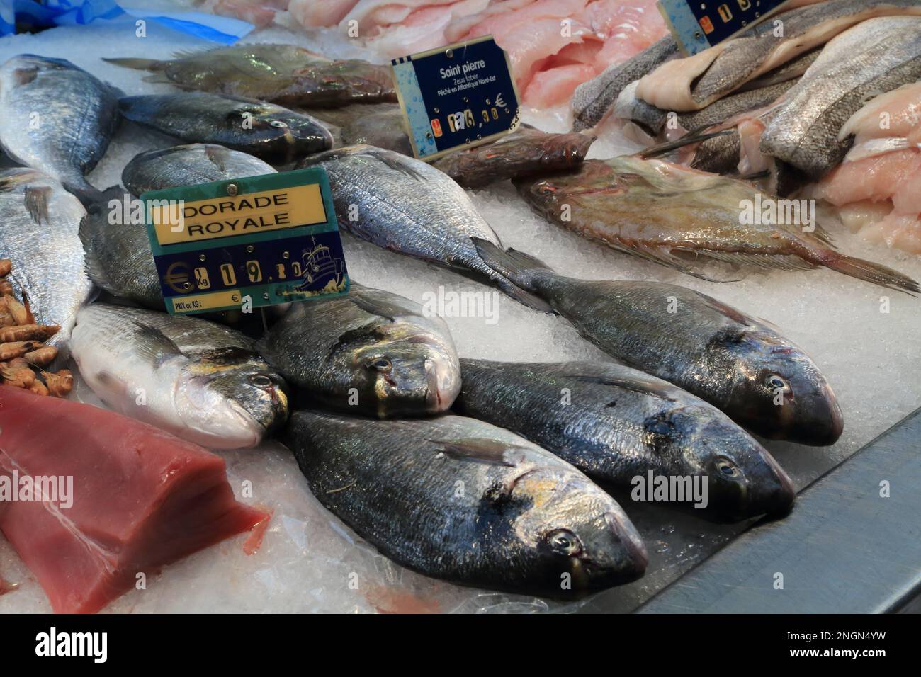 Ausstellung von Seebrassen auf dem Fischmarkt in Halle Aux Poissons, Place de la Poissonnerie, Vannes, Morbihan, Bretagne, Frankreich Stockfoto