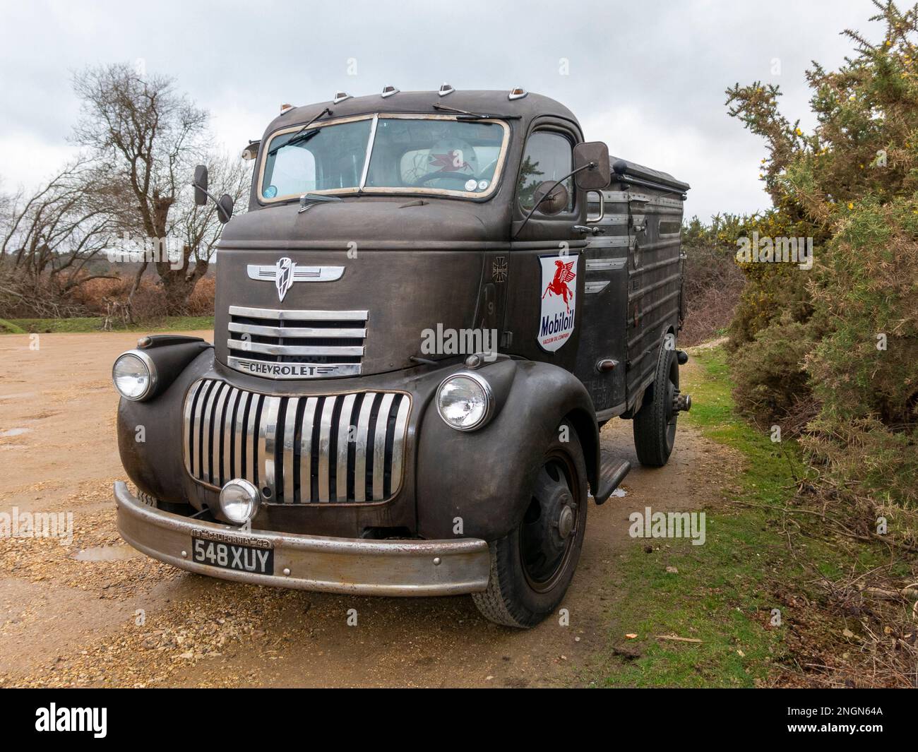 1946 Chevrolet COE-Lkw (Kabine über Motor) Stockfoto