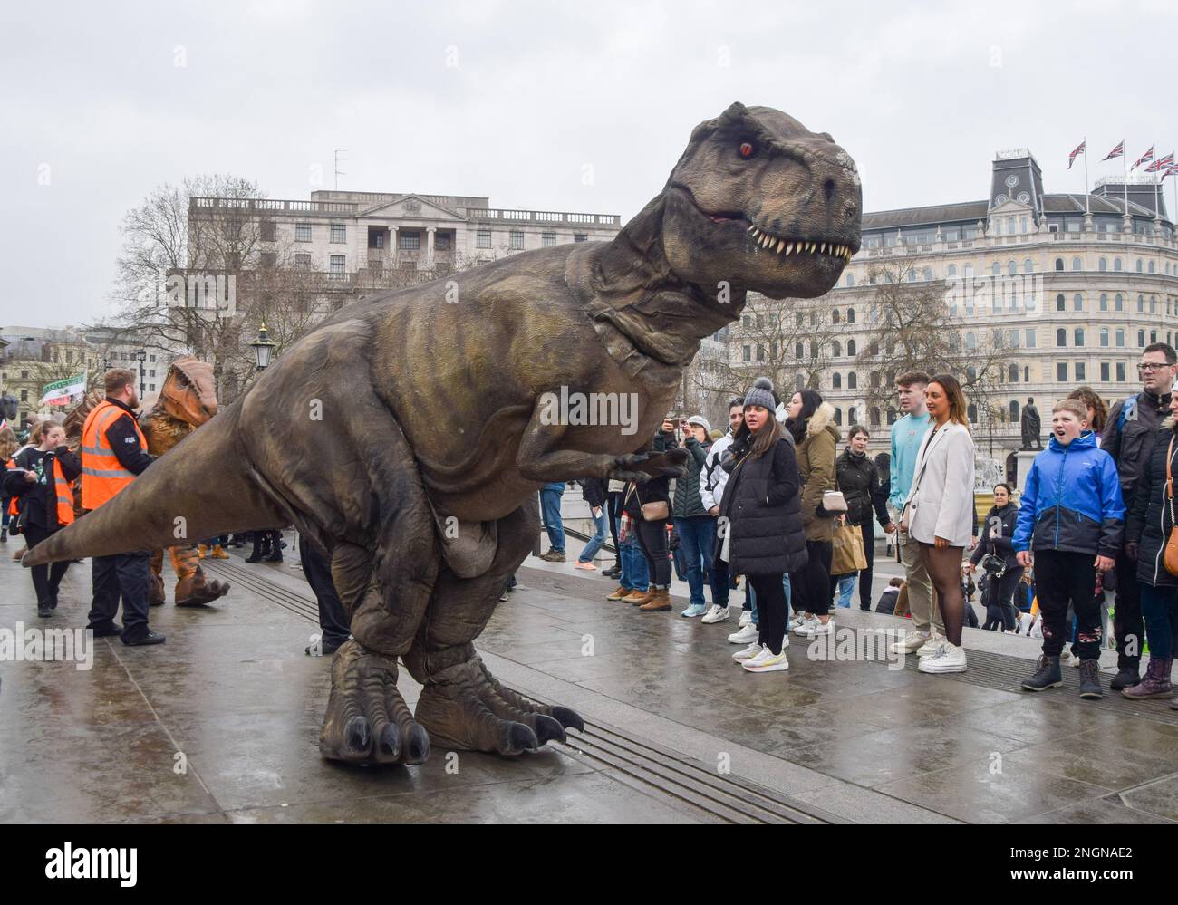 London, Großbritannien. 18. Februar 2023 Künstler in lebensechten Dinosaurierkostümen unterhalten die Massen am Trafalgar Square, während Jurassic Live seine West End Show im Adelphi Theatre startet. Kredit: Vuk Valcic/Alamy Live News Stockfoto