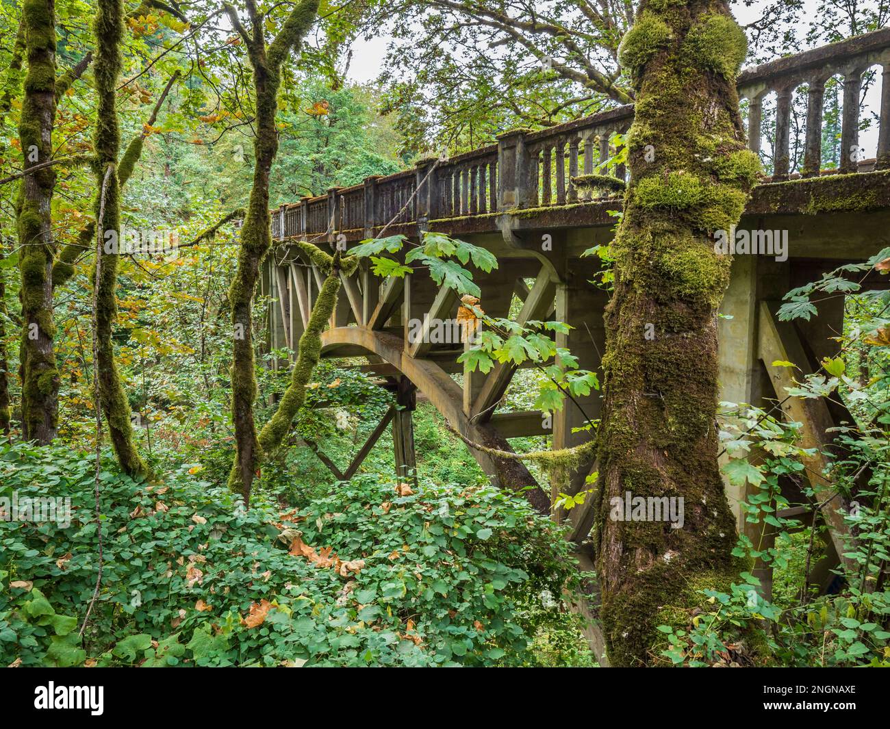 Brücke in der Nähe von Latourrll Falls, Columbia River Gorge National Scenic Area, Oregon. Stockfoto