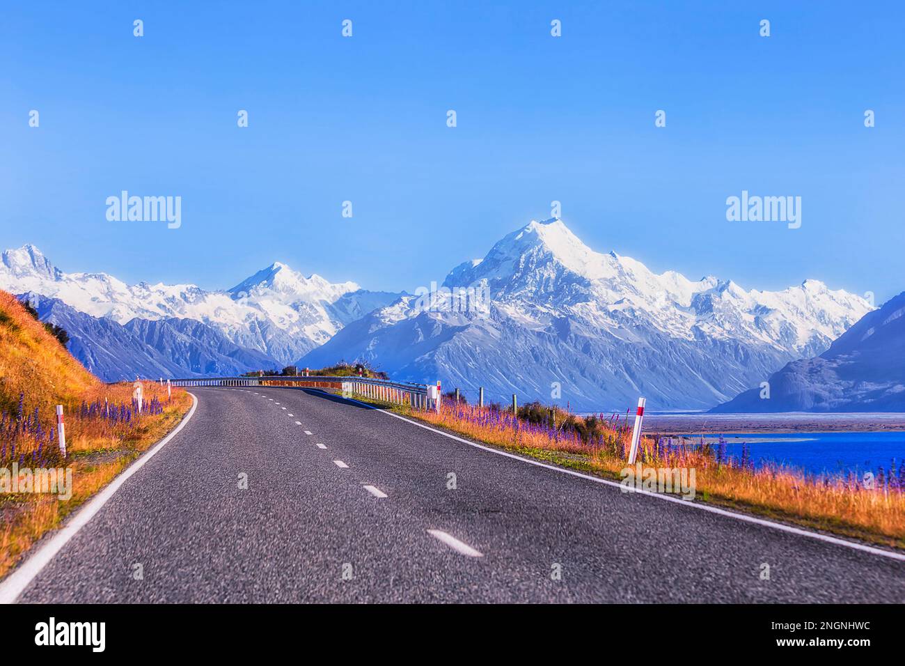 Am Straßenrand blühende Wildblumen auf dem Highway 80 in Neuseeland am Lake Pukaki bis zu den Felsgipfeln des Mt Cook. Stockfoto