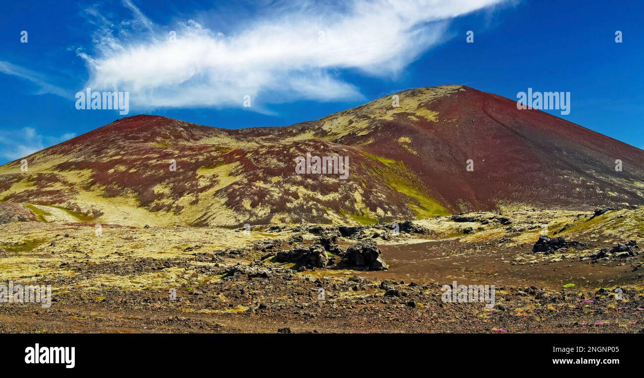Wunderschöne farbenfrohe vulkanische isländische Landschaft, roter Berggipfel, Wanderweg - Island, Highlands Stockfoto