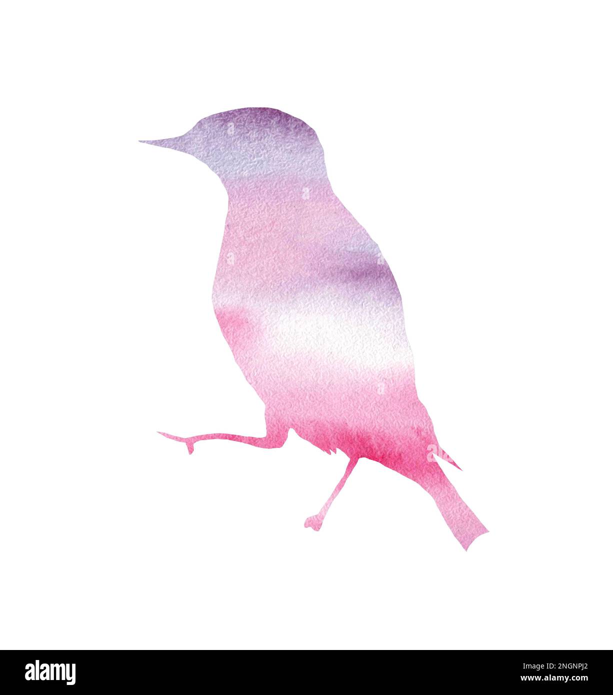 Stilisierte Aquarelldarstellung eines Vogels. Silhouette von Tieren mit Wald. Logos für wilde Tiere. Tätowierung. Stockfoto