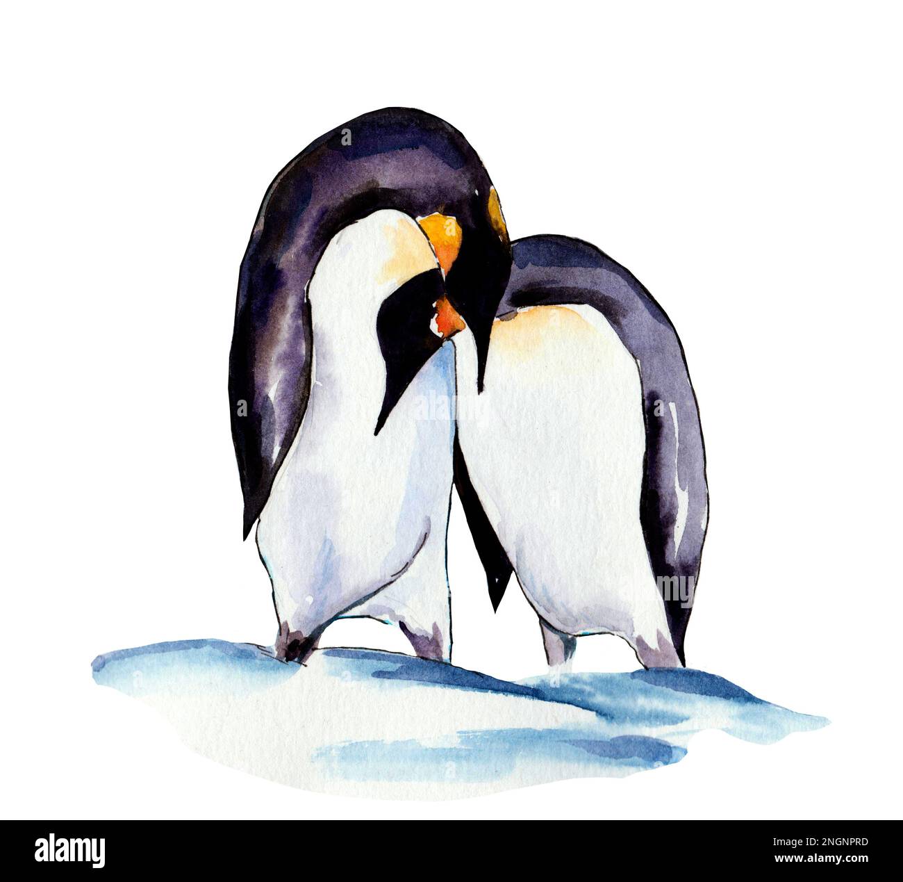 Aquarelle Zeichnung liebevoller Pinguine auf weißem Hintergrund. Im Winter Stockfoto