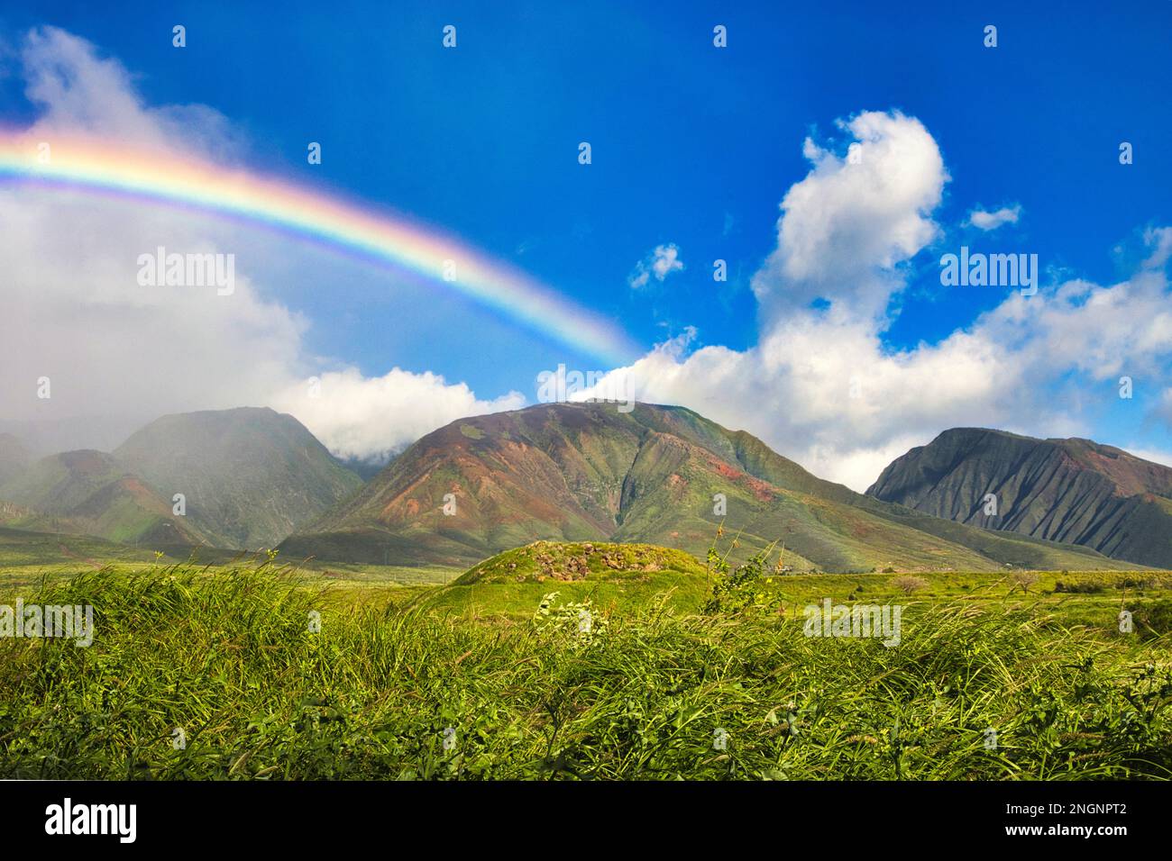 Üppig grüne Landschaft in den Bergen von West maui mit Regenbogen. Stockfoto