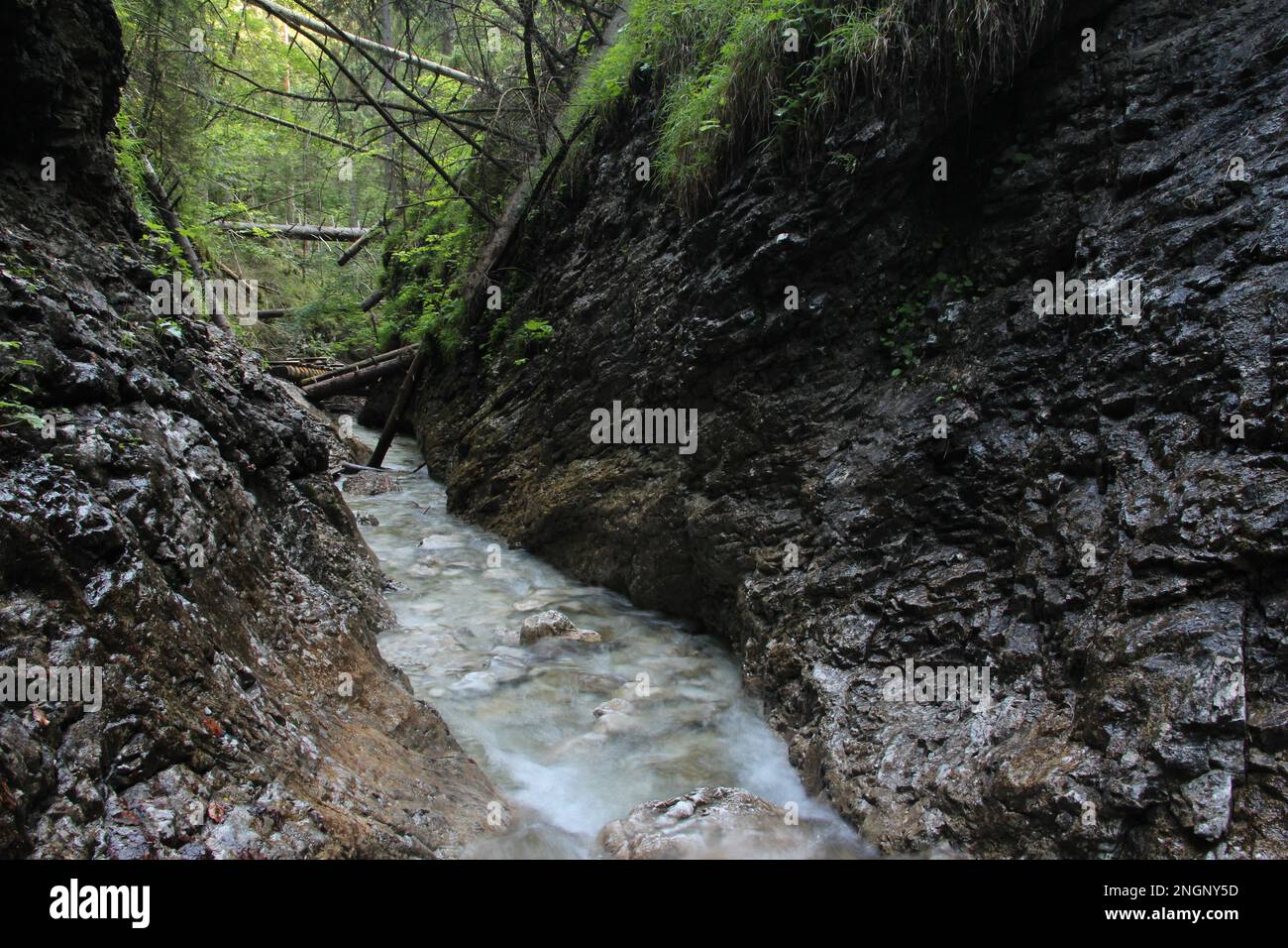 Ein nasser Pfad, der durch Bäche im Slovak Paradise National Park verläuft. Slowakei Stockfoto