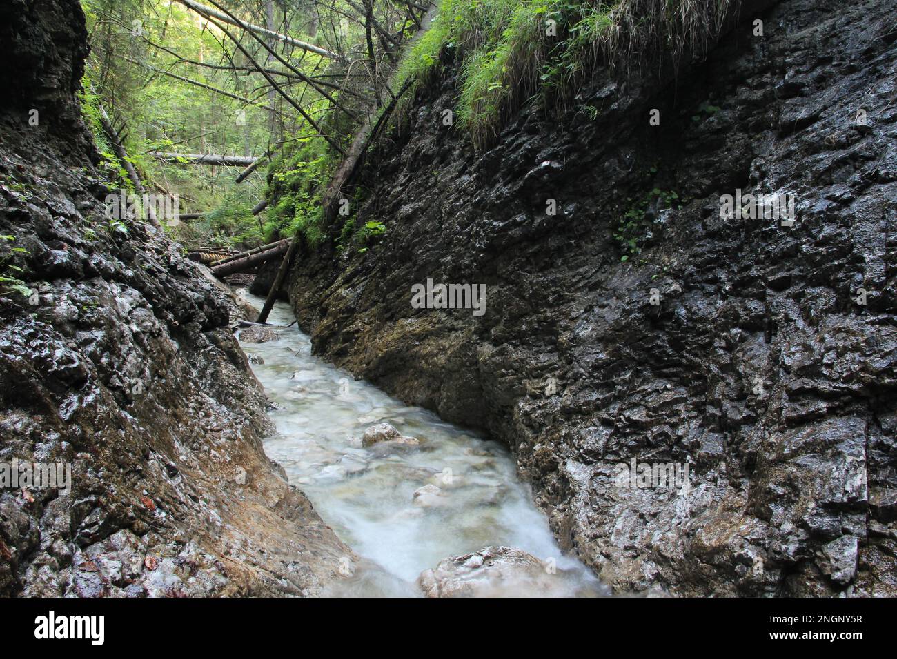 Ein nasser Pfad, der durch Bäche im Slovak Paradise National Park verläuft. Slowakei Stockfoto