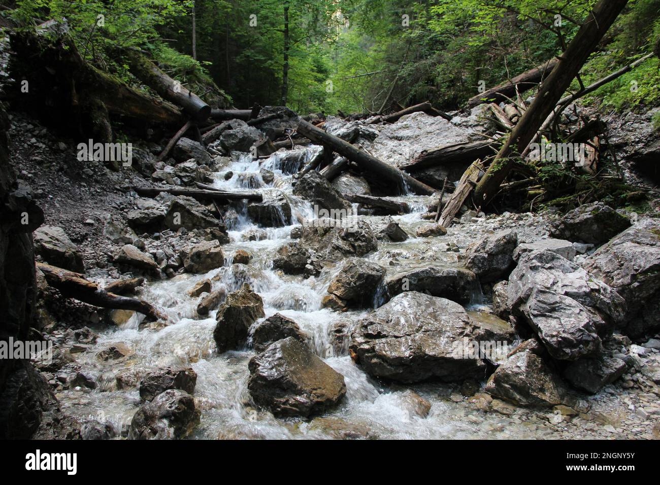 Ein nasser Pfad, der durch Bäche im Slovak Paradise National Park verläuft. Slowakei Stockfoto
