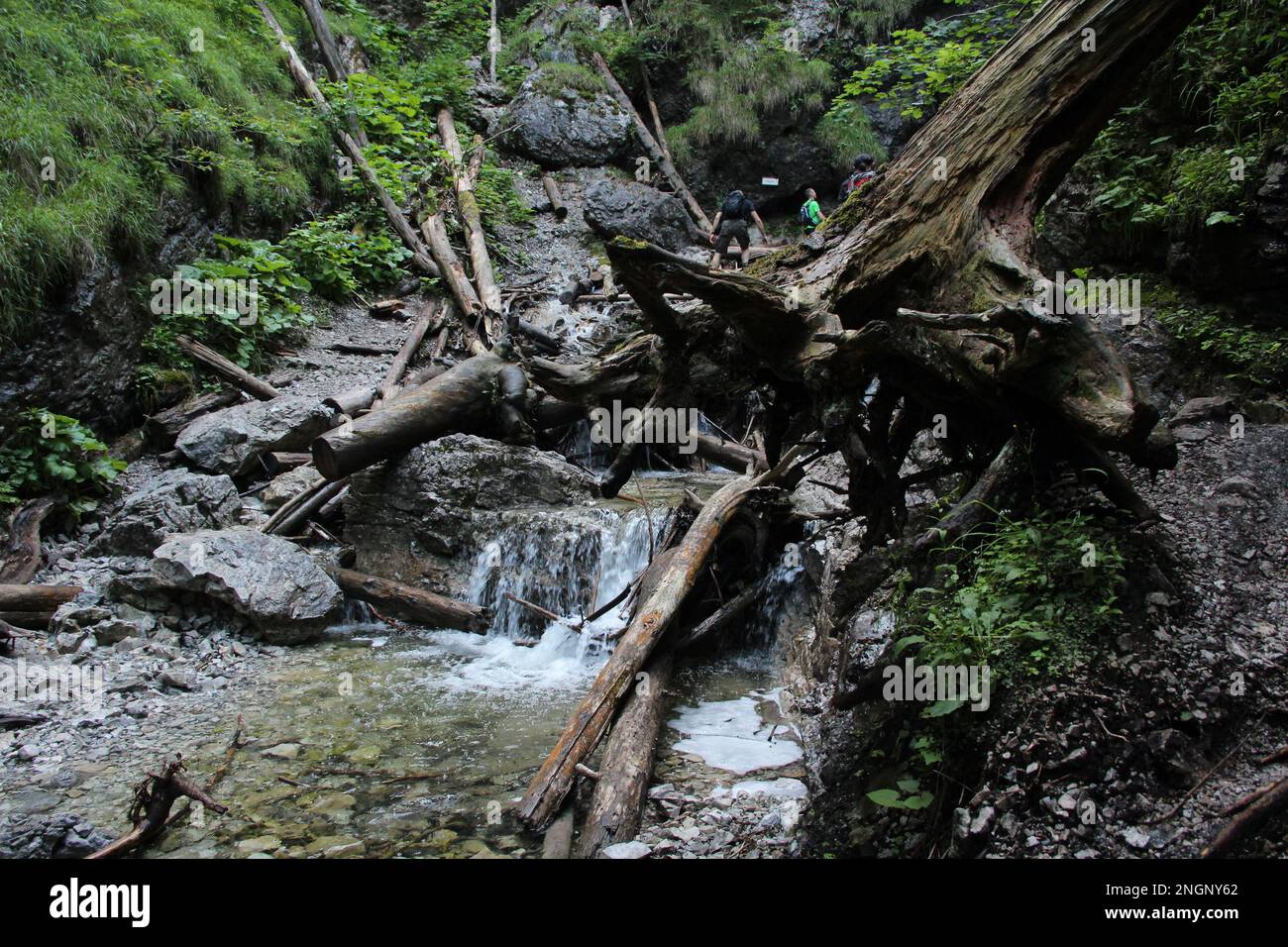 Ein nasser Pfad, der durch Bäche im Slovak Paradise National Park verläuft. Slowakei Stockfoto