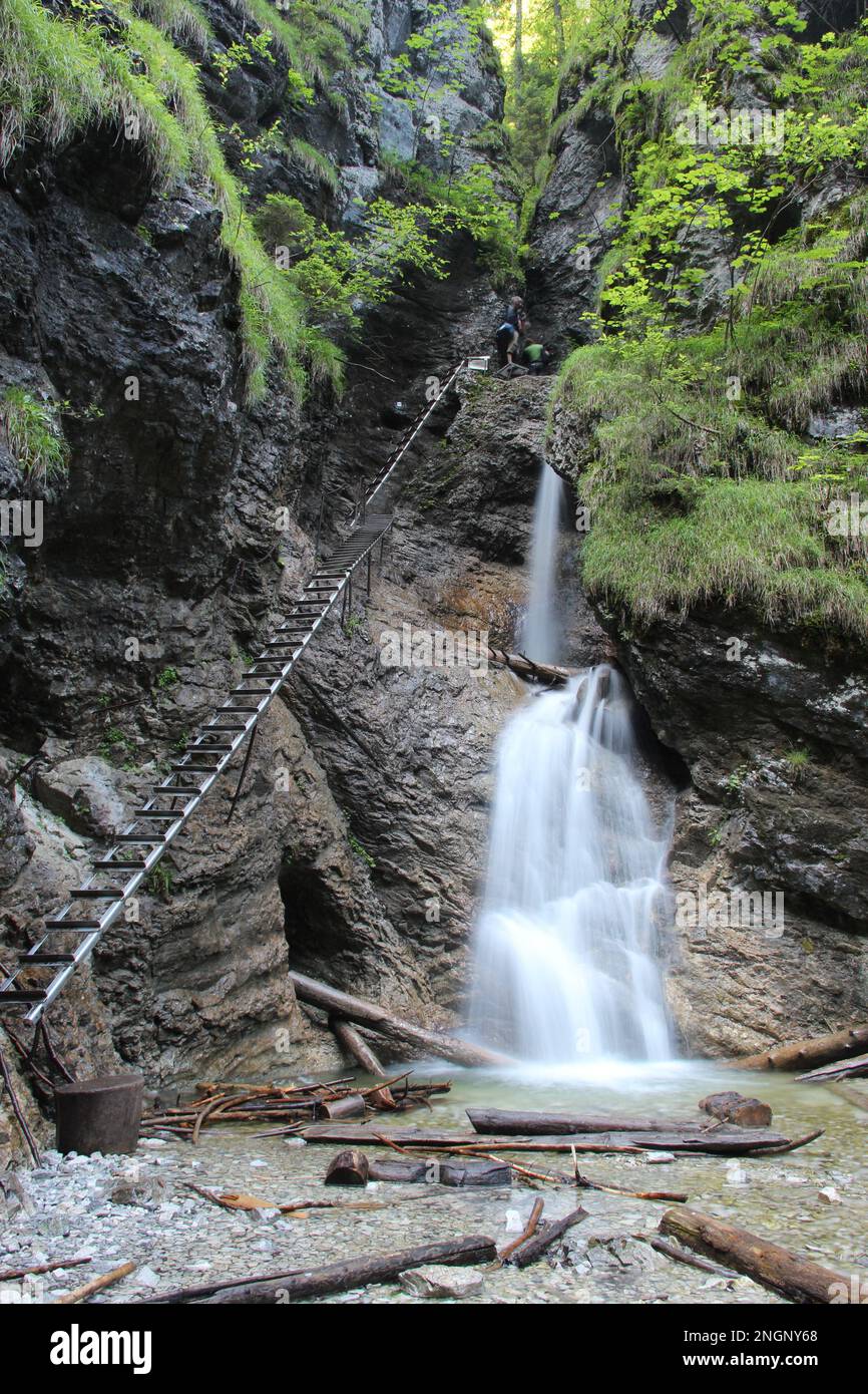 Gefährlicher Pfad durch einen Wasserfall mit Stahlleitern im Slovak Paradise National Park, Slovaki. Slowakei Stockfoto