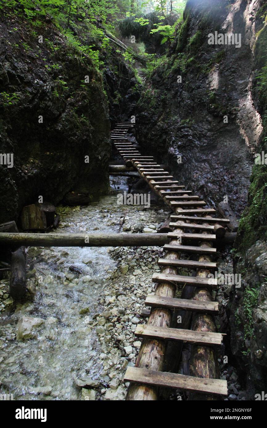 Gefährlicher Pfad durch einen Wasserfall mit Stahlleitern im Slovak Paradise National Park, Slovaki. Slowakei Stockfoto