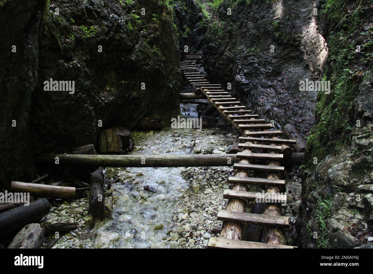 Gefährlicher Pfad durch einen Wasserfall mit Stahlleitern im Slovak Paradise National Park, Slovaki. Slowakei Stockfoto