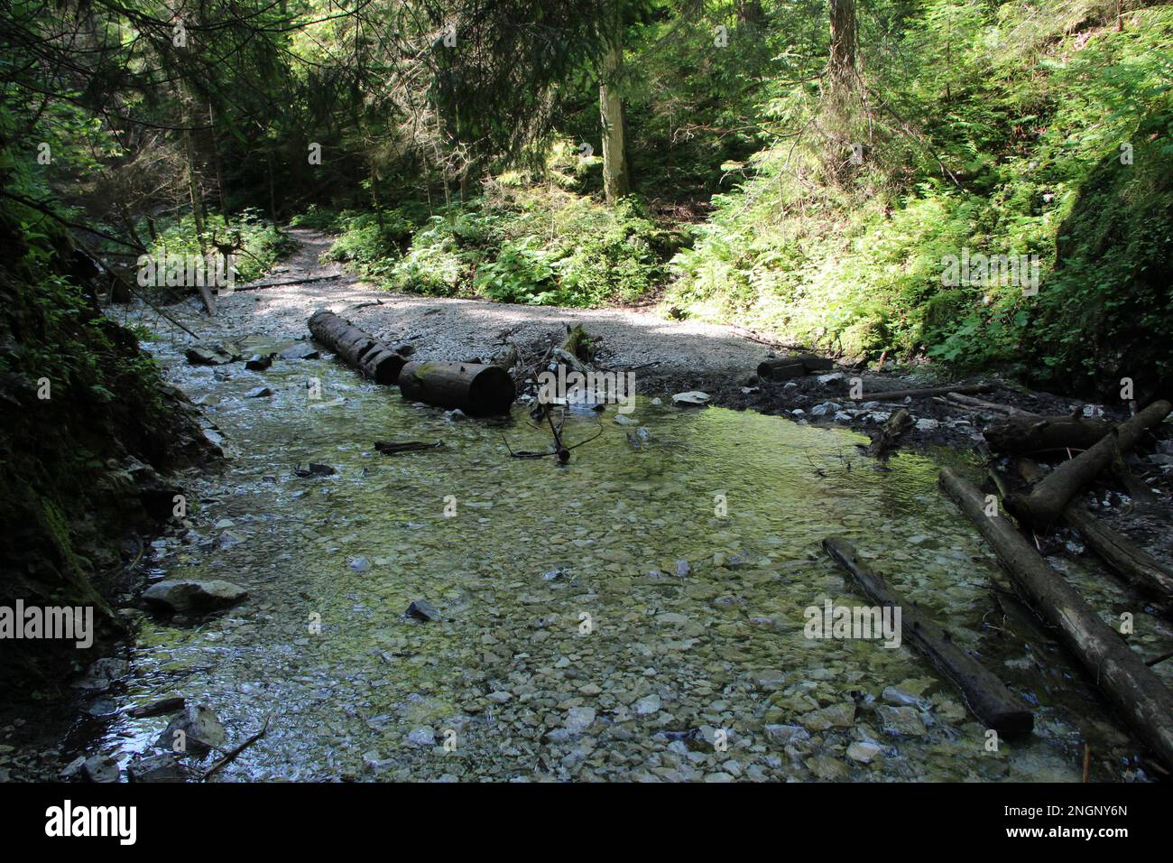 Gefährlicher Pfad durch einen Wasserfall mit Stahlleitern im Slovak Paradise National Park, Slovaki. Slowakei Stockfoto
