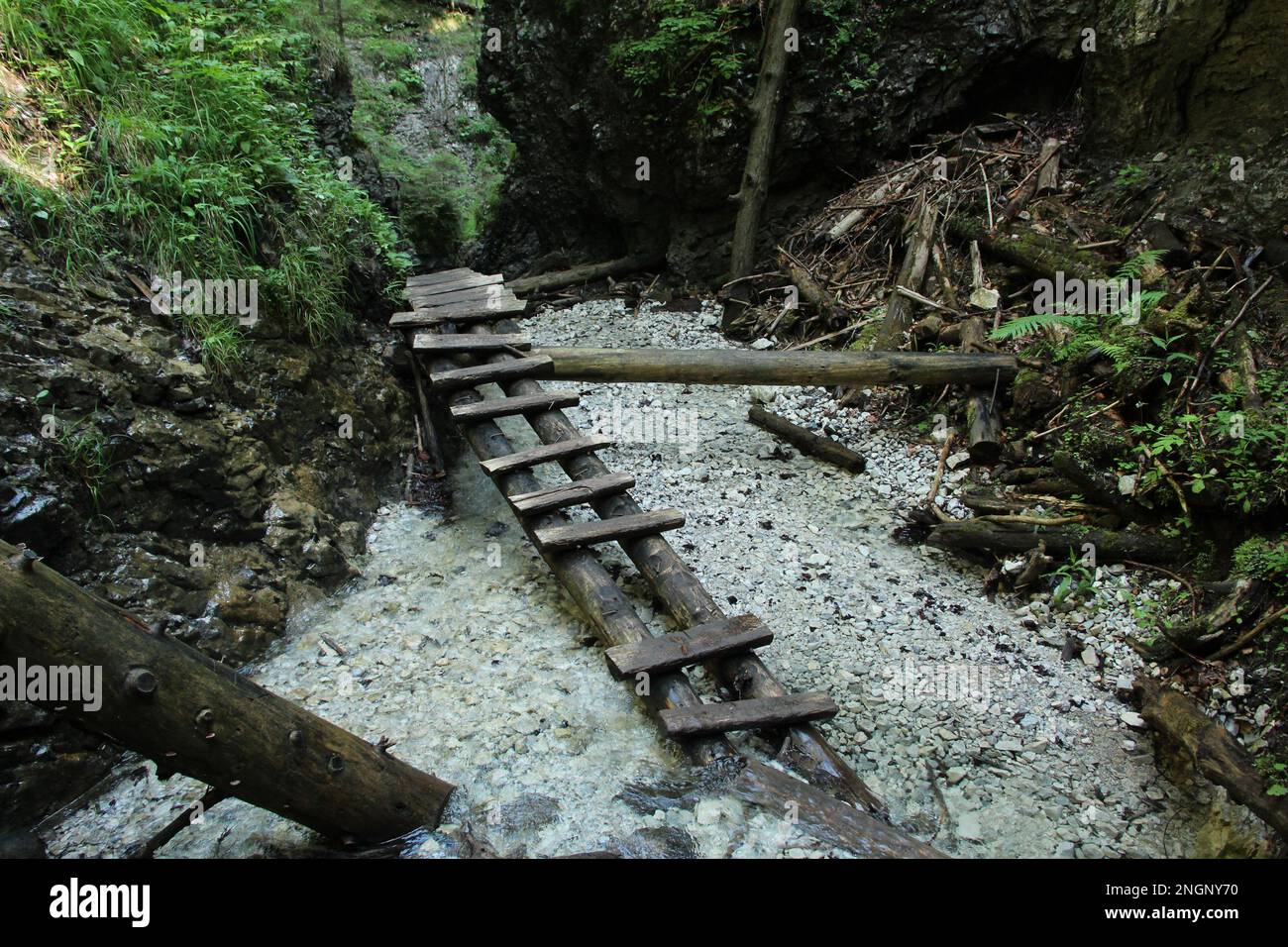 Gefährlicher Pfad durch einen Wasserfall mit Stahlleitern im Slovak Paradise National Park, Slovaki. Slowakei Stockfoto