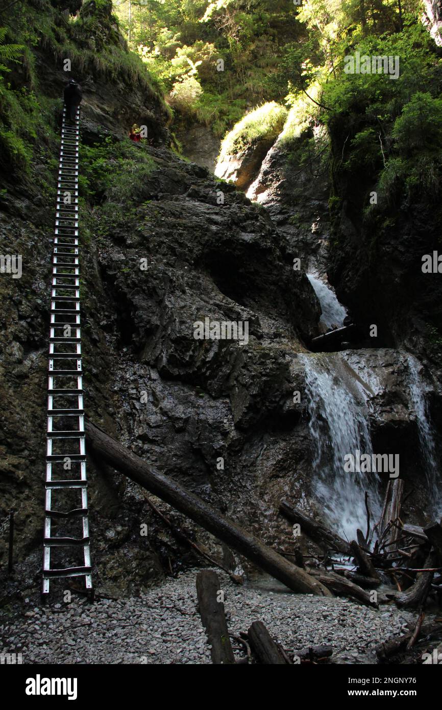 Gefährlicher Pfad durch einen Wasserfall mit Stahlleitern im Slovak Paradise National Park, Slovaki. Slowakei Stockfoto