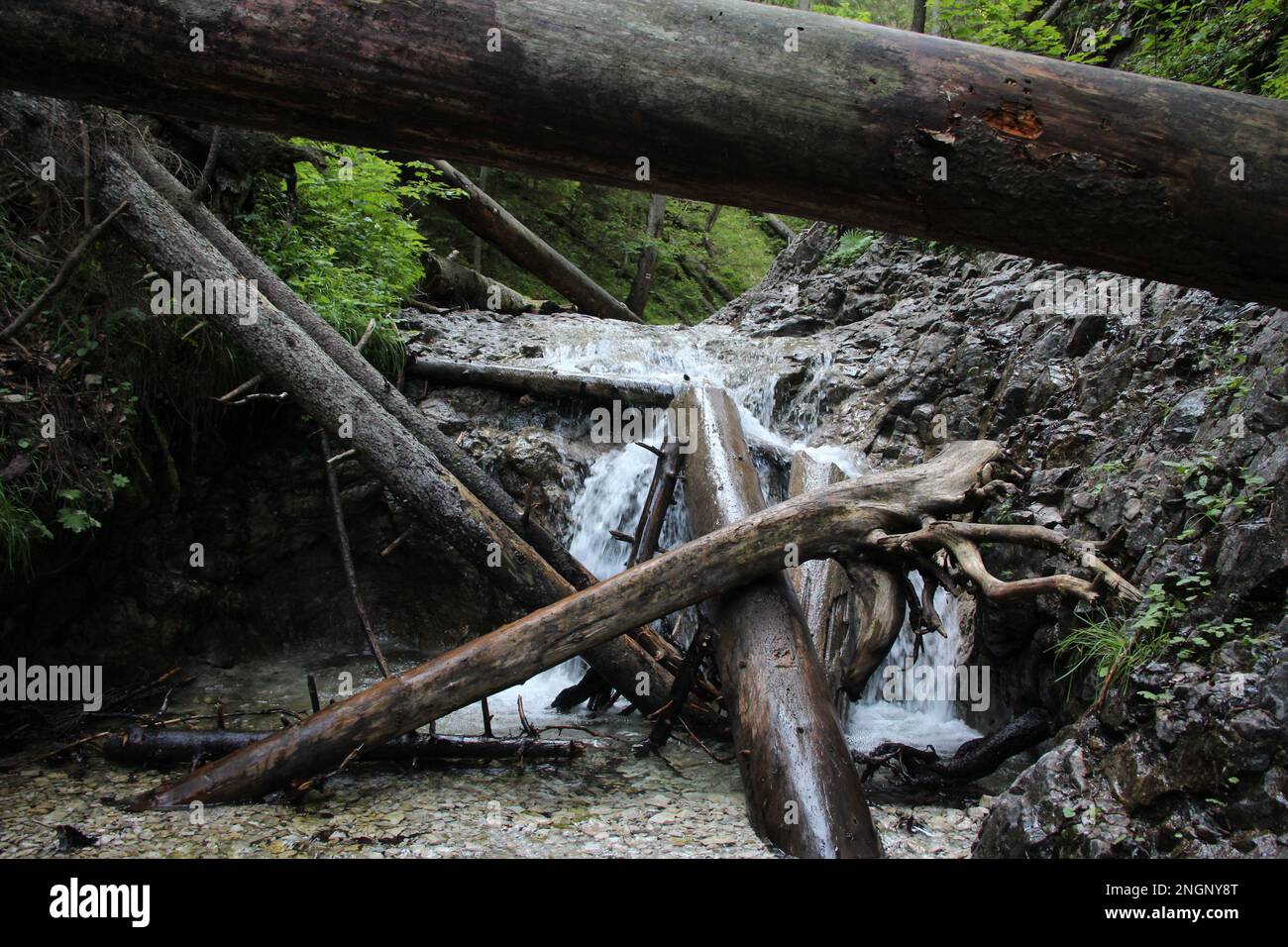 Ein nasser Pfad, der durch Bäche im Slovak Paradise National Park verläuft. Slowakei Stockfoto