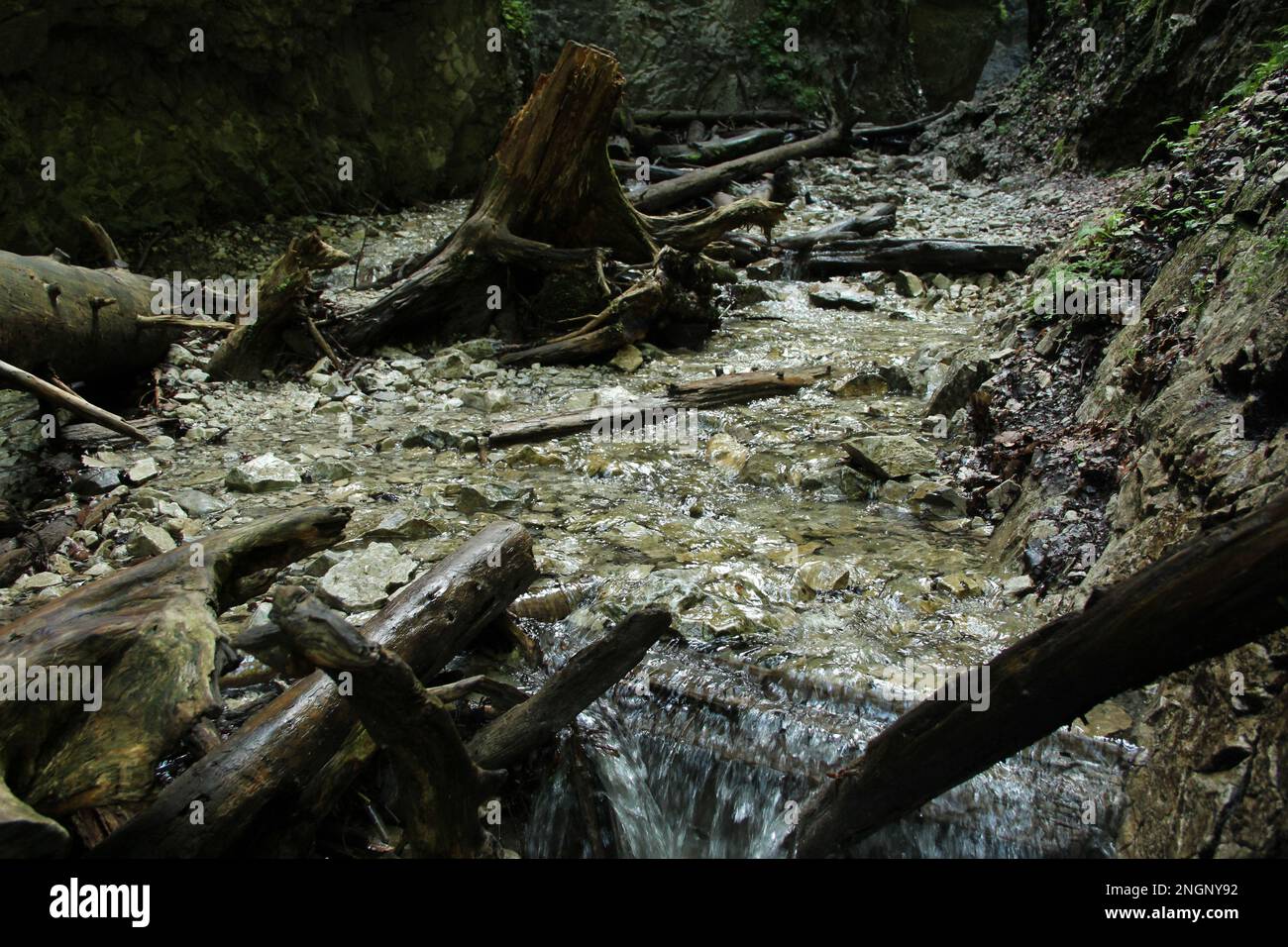 Ein nasser Pfad, der durch Bäche im Slovak Paradise National Park verläuft. Slowakei Stockfoto