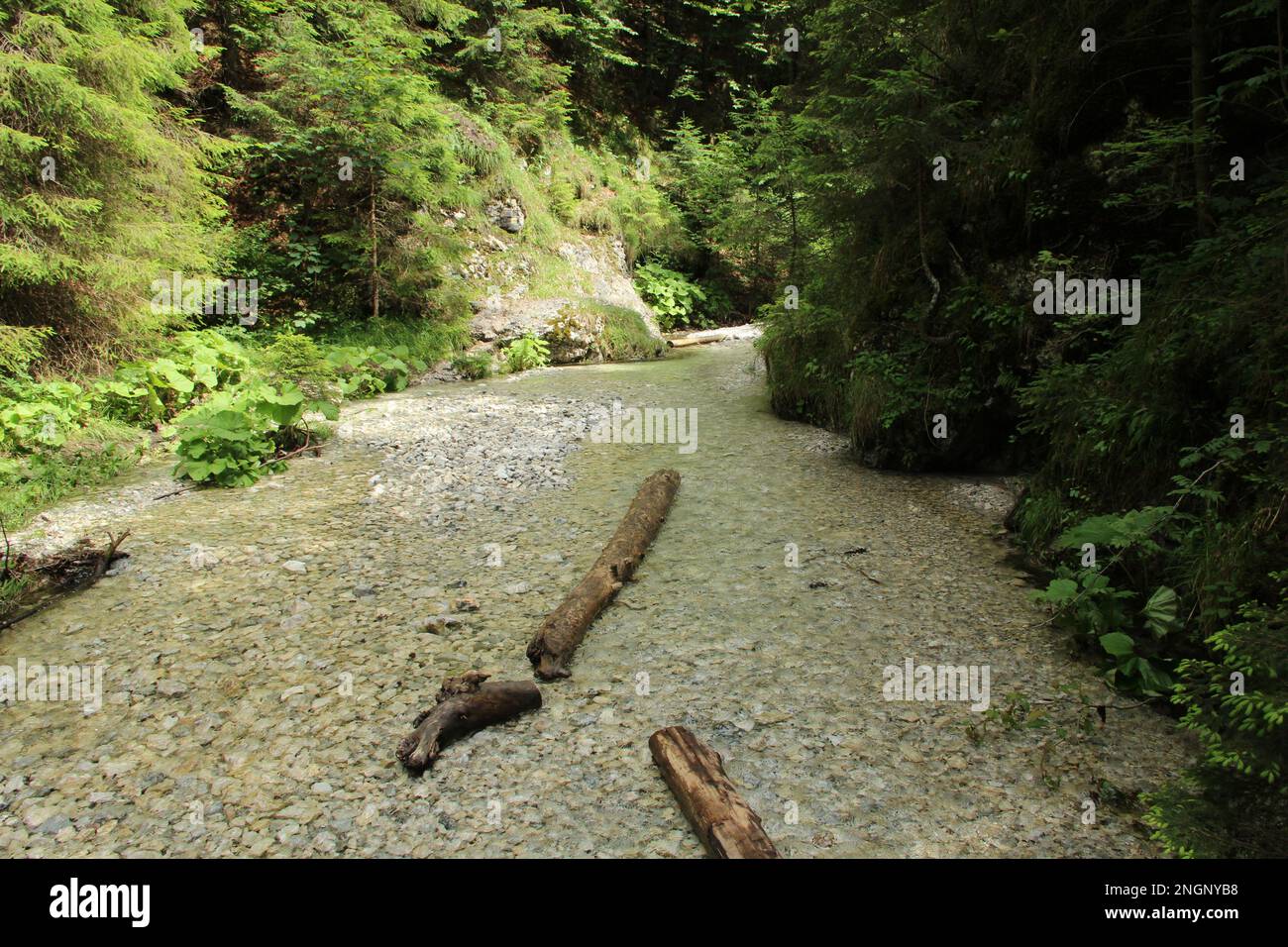 Der Fluss fließt langsam und friedlich durch die Waldgebiete des Nationalparks Slovak Paradise. Slowakei Stockfoto