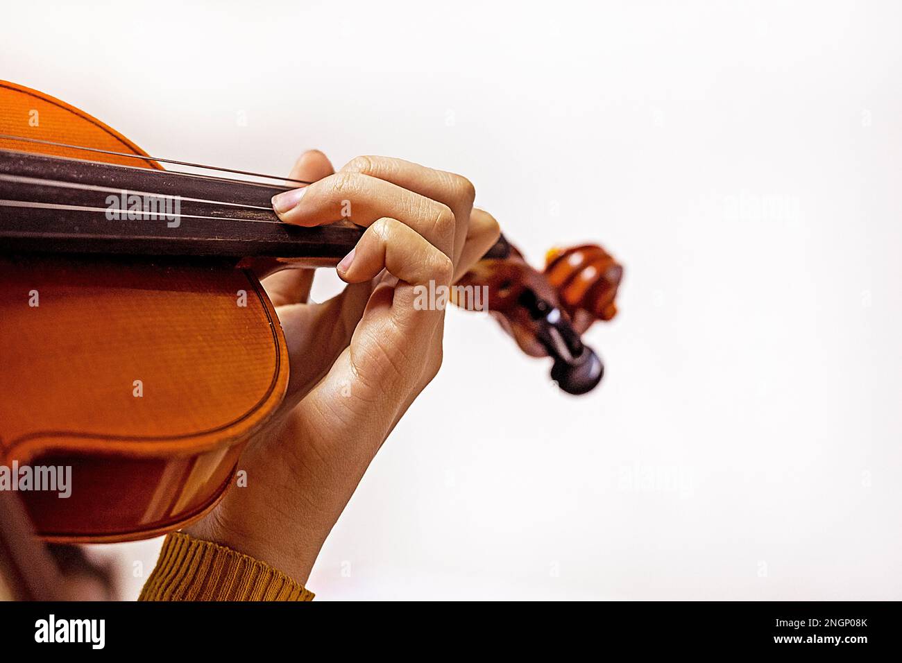 Die linke Hand eines jungen Violinisten auf den Saiten einer Studentengeige auf einem hellen Hintergrund. Musikalische Erziehung Stockfoto