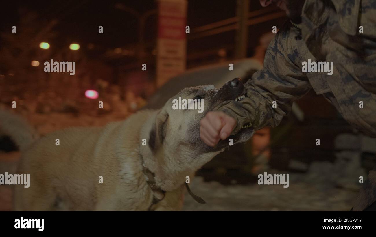 Junger Mann mit Brille im Militäranzug gebissen, Sivas Kangal Hundeausbildung und Disziplin-Konzept Stockfoto