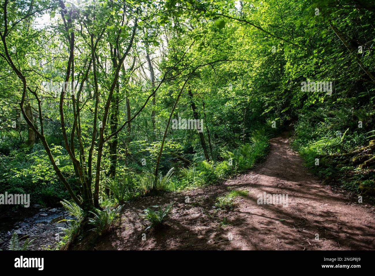 Walisische Landschaft Stockfoto