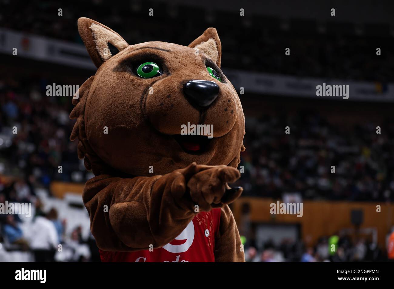 Maskottchen beim ACB Copa Del Rey Badalona 2023 Semi Finals Match zwischen Real Madrid und Unicaja Malaga im Palau Municipal Esports de Badalona in Barcelona, Spanien. (Kredit: David Ramirez / Dax Images) Stockfoto Maskottchen beim ACB Copa Del Rey Badalona 2023 Semi Finals Match zwischen Real Madrid und Unicaja Malaga im Palau Municipal Esports de Badalona in Barcelona, Spanien. (Kredit: David Ramirez / Dax Images) Stockfoto