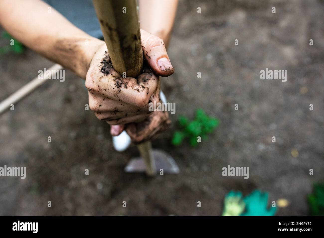 Frauen halten nach einem Arbeitstag in der Natur Gartengeräte mit Schmutz in den Händen Stockfoto