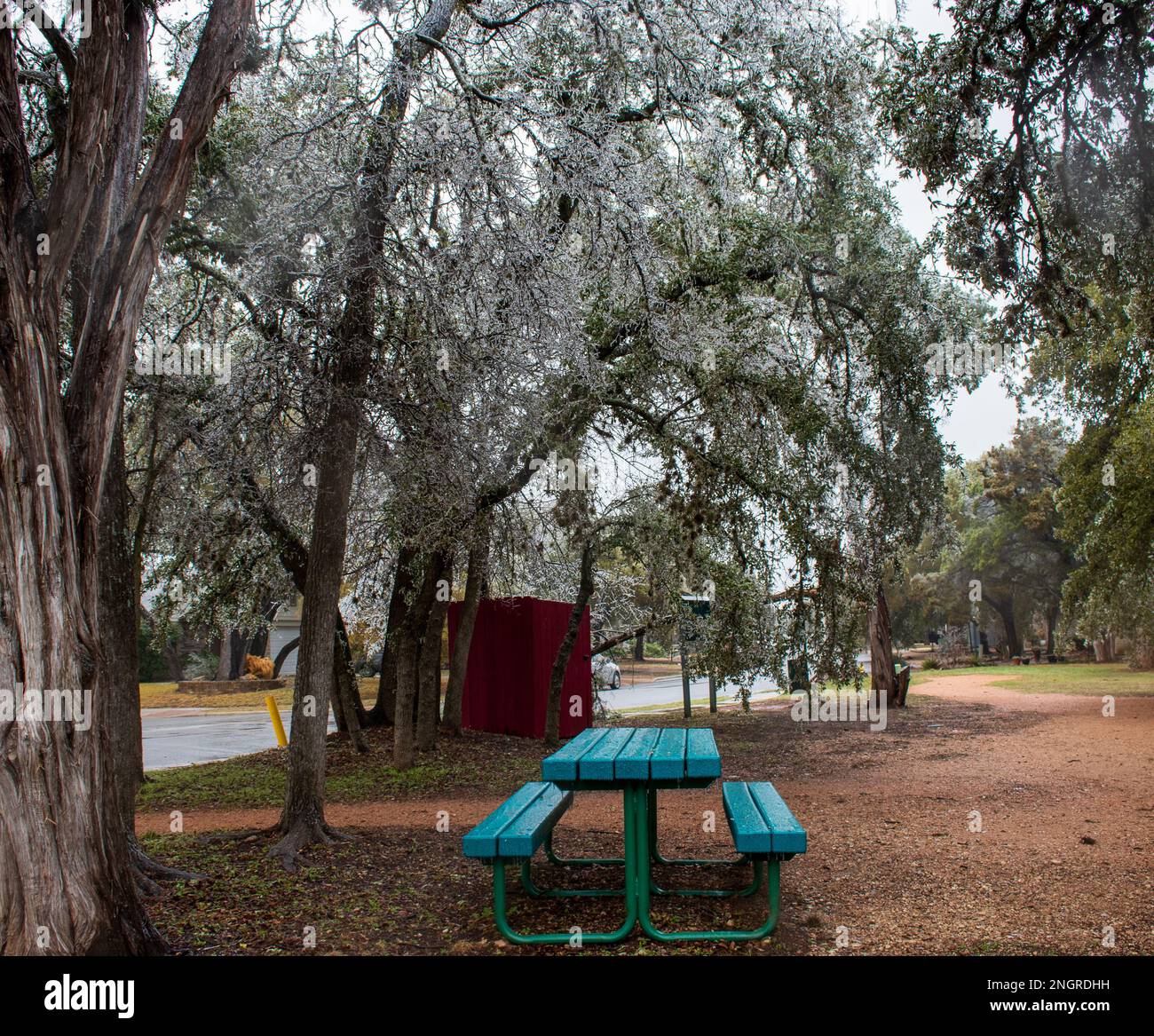 Blauer Picknicktisch in einem öffentlichen Park unter gefrorenen Bäumen nach einem Eissturm in Austin Texas Stockfoto