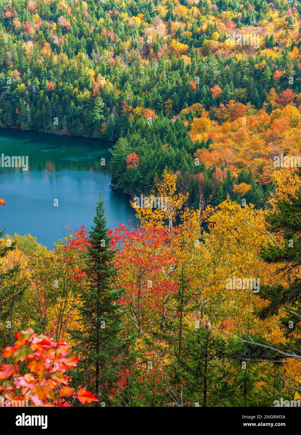 Maine Highlands Landschaft. Little Greenwood Pond - ein Bergsee mit smaragdgrünem Wasser. Mischwald im Hochherbstlaub. Borestone Mountain, Maine. Stockfoto