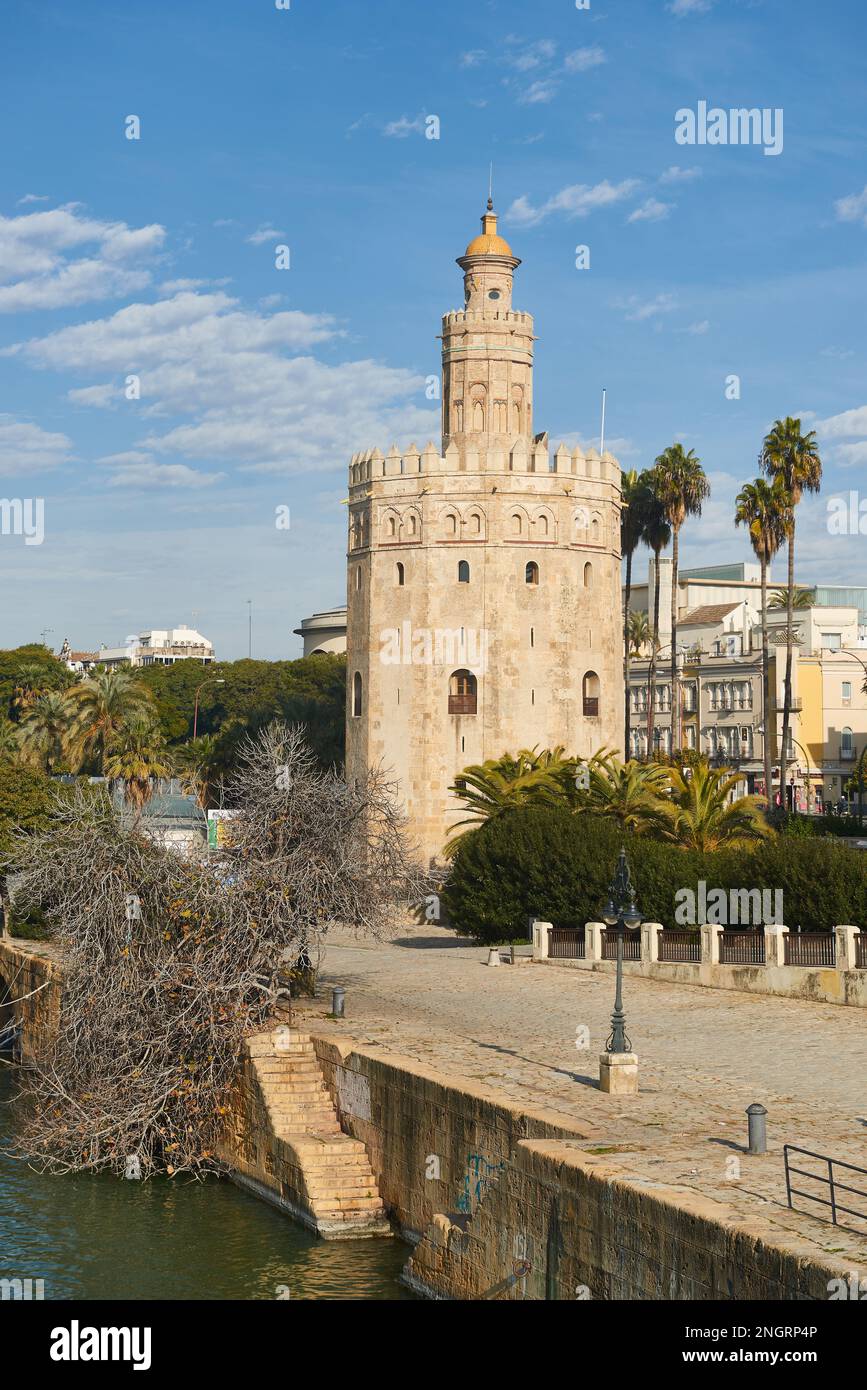 Blick auf das Ufer von Guadalquivir und den berühmten Turm namens Torre del Oro (Goldener Turm), Sevilla, Andalusien, Spanien, Europa. Stockfoto