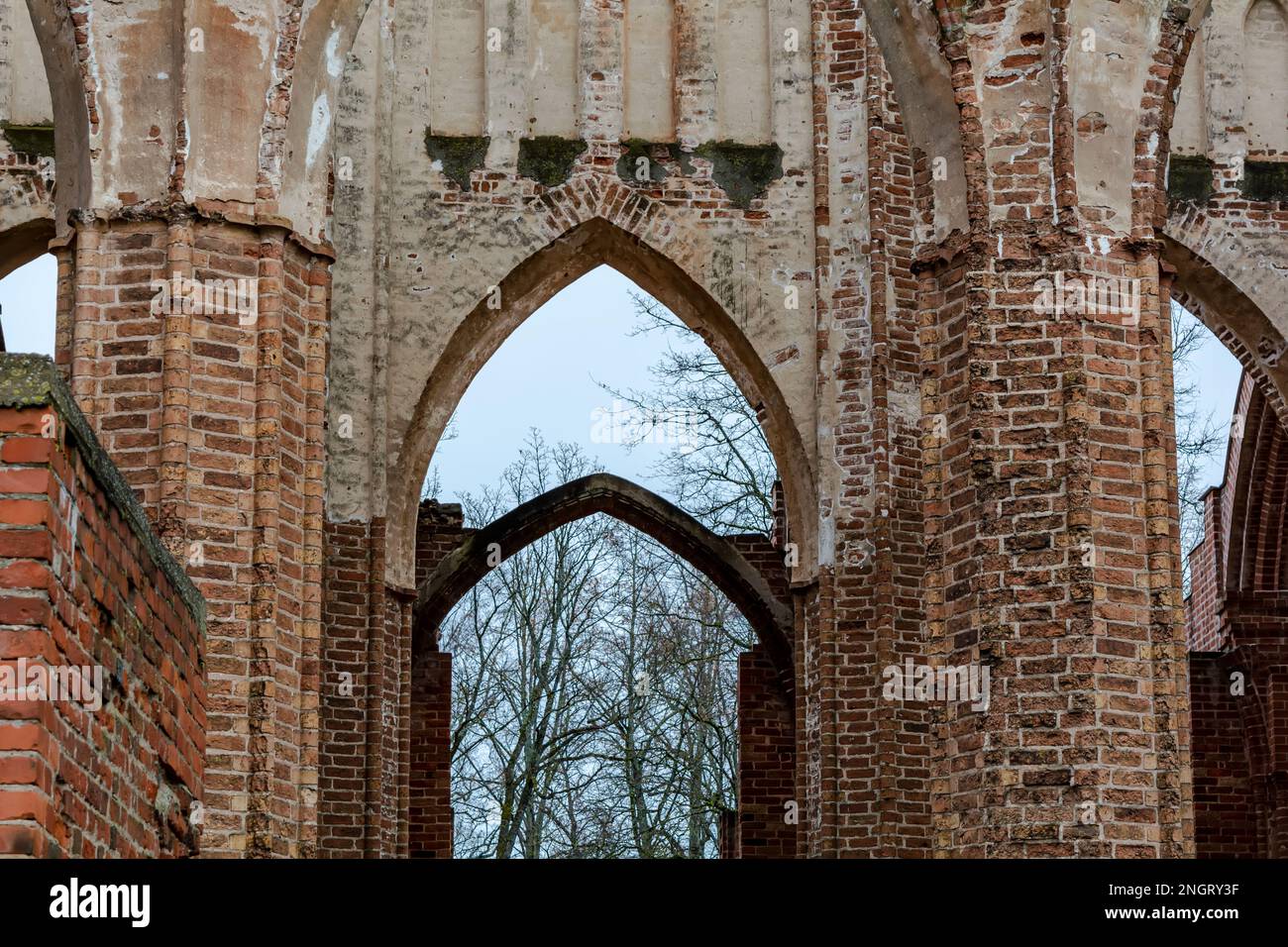 Bogeneingang an der Kathedrale von Tartu Stockfoto